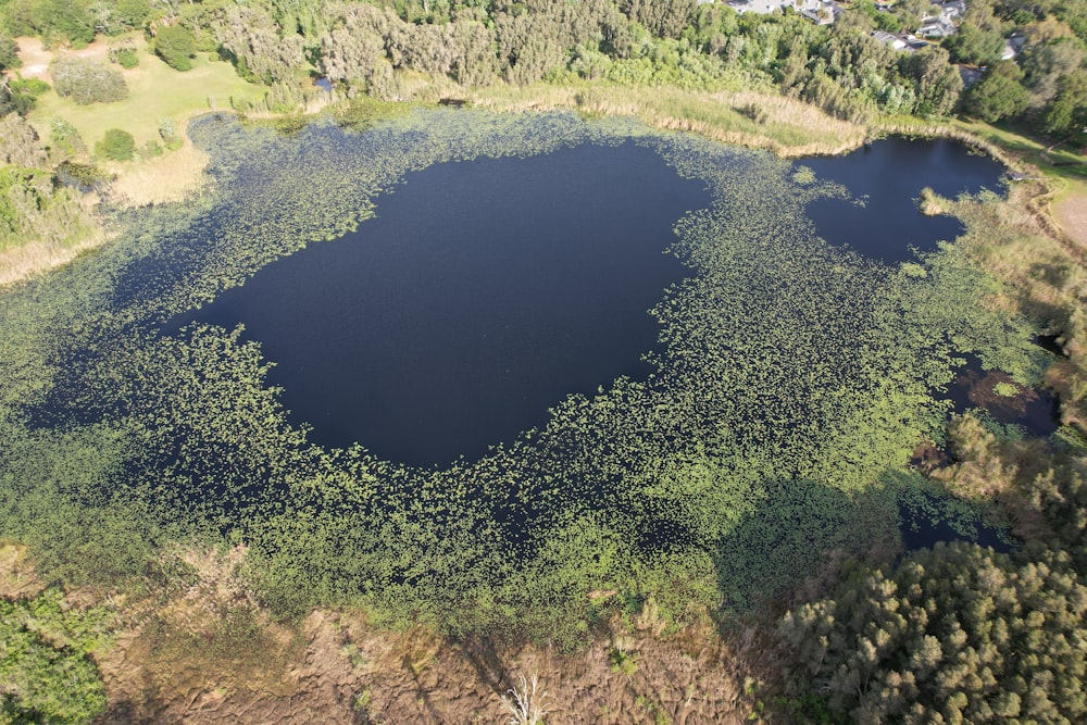 an aerial view of a lake surrounded by trees