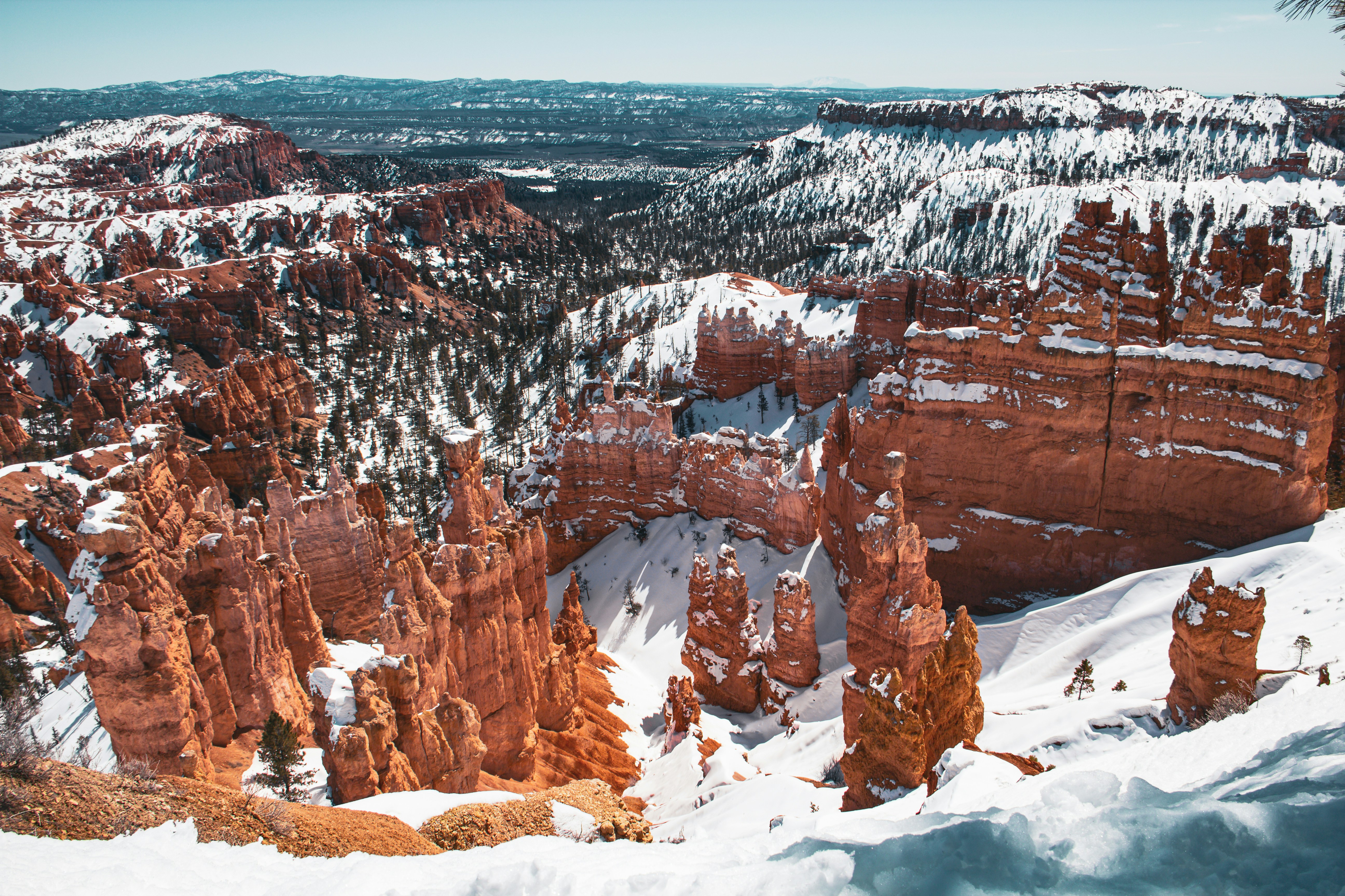 Photo by redvinewizard