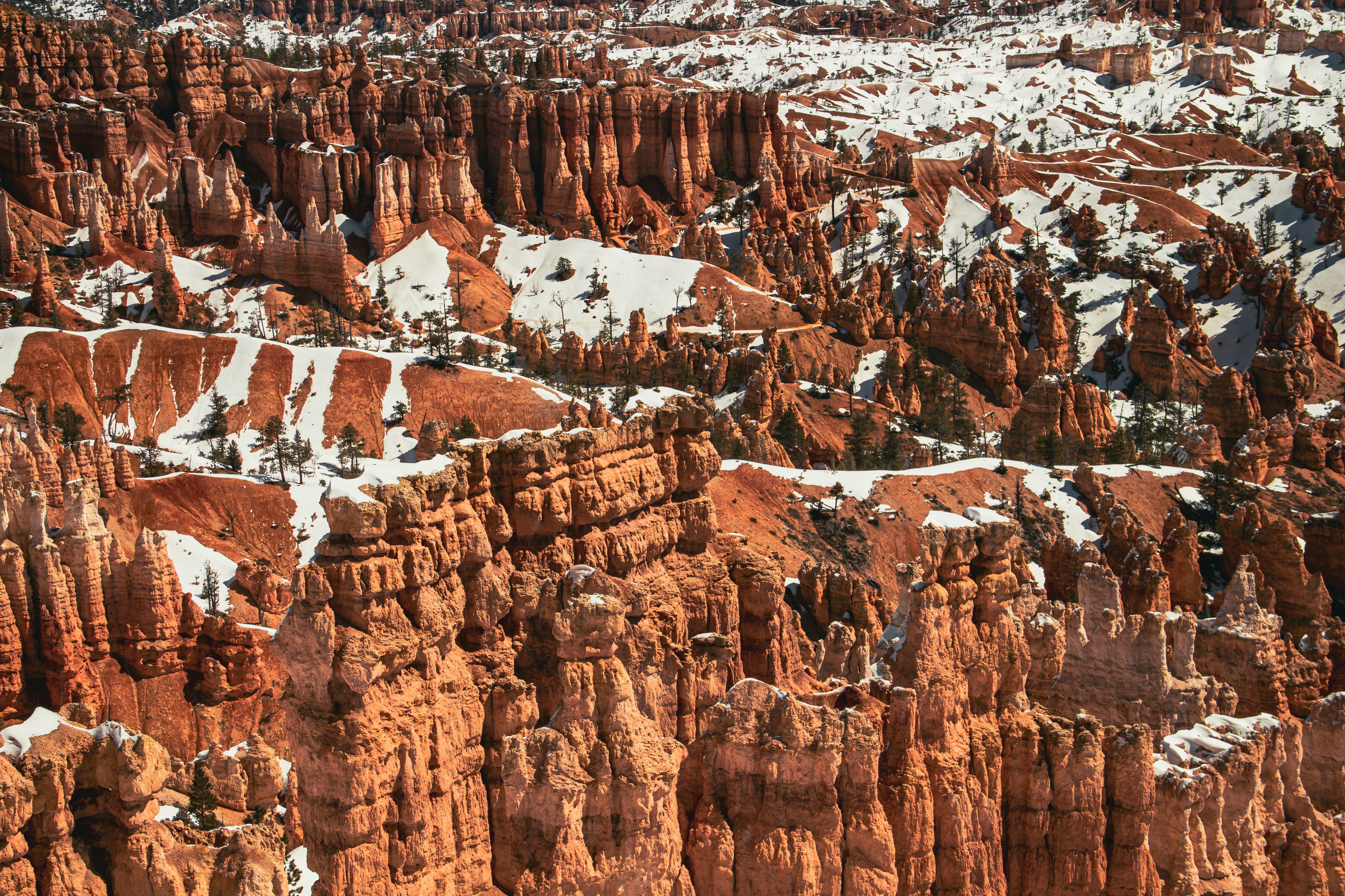 Photo by redvinewizard