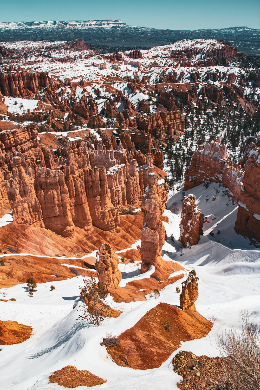 snow covers the ground and rocks of a canyon