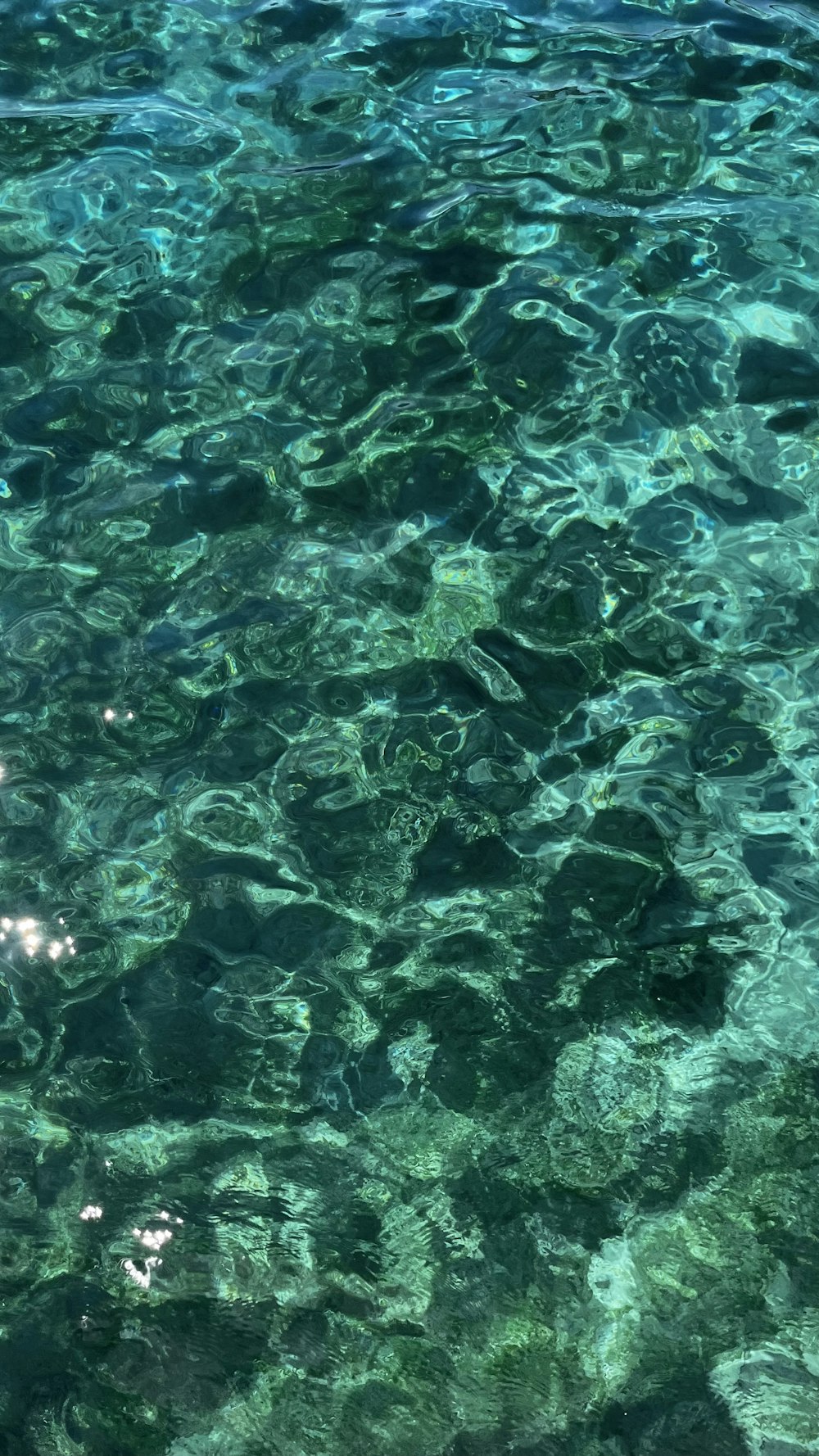 the water is crystal clear and blue