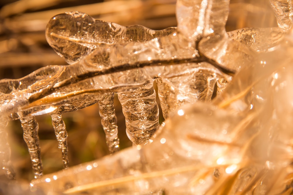 a close up of a bunch of ice crystals