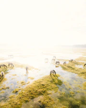 A lively scene of Poitevin draft horses grazing peacefully in a lush green field near Saint-Herblain.