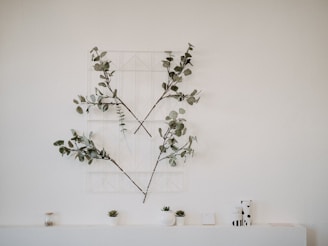 An arrangement of eucalyptus branches is displayed on a white wall, creating a minimalist and natural decor. Below the branches, there is a simple white shelf with small potted plants and decorative items, adding subtle interest to the composition.