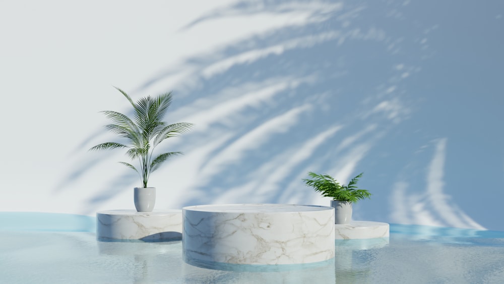 a white marble table with a plant in it