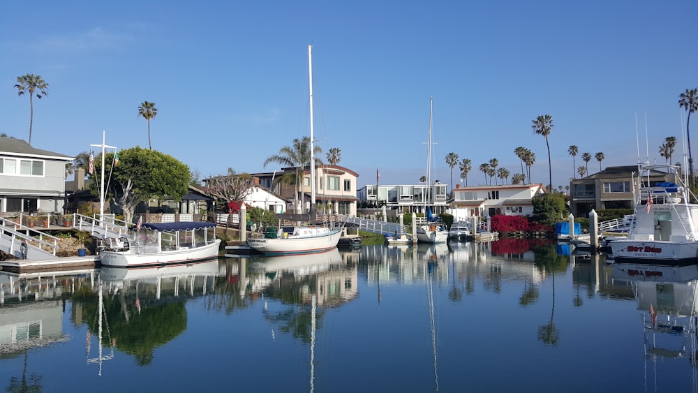 a harbor filled with lots of boats and palm trees