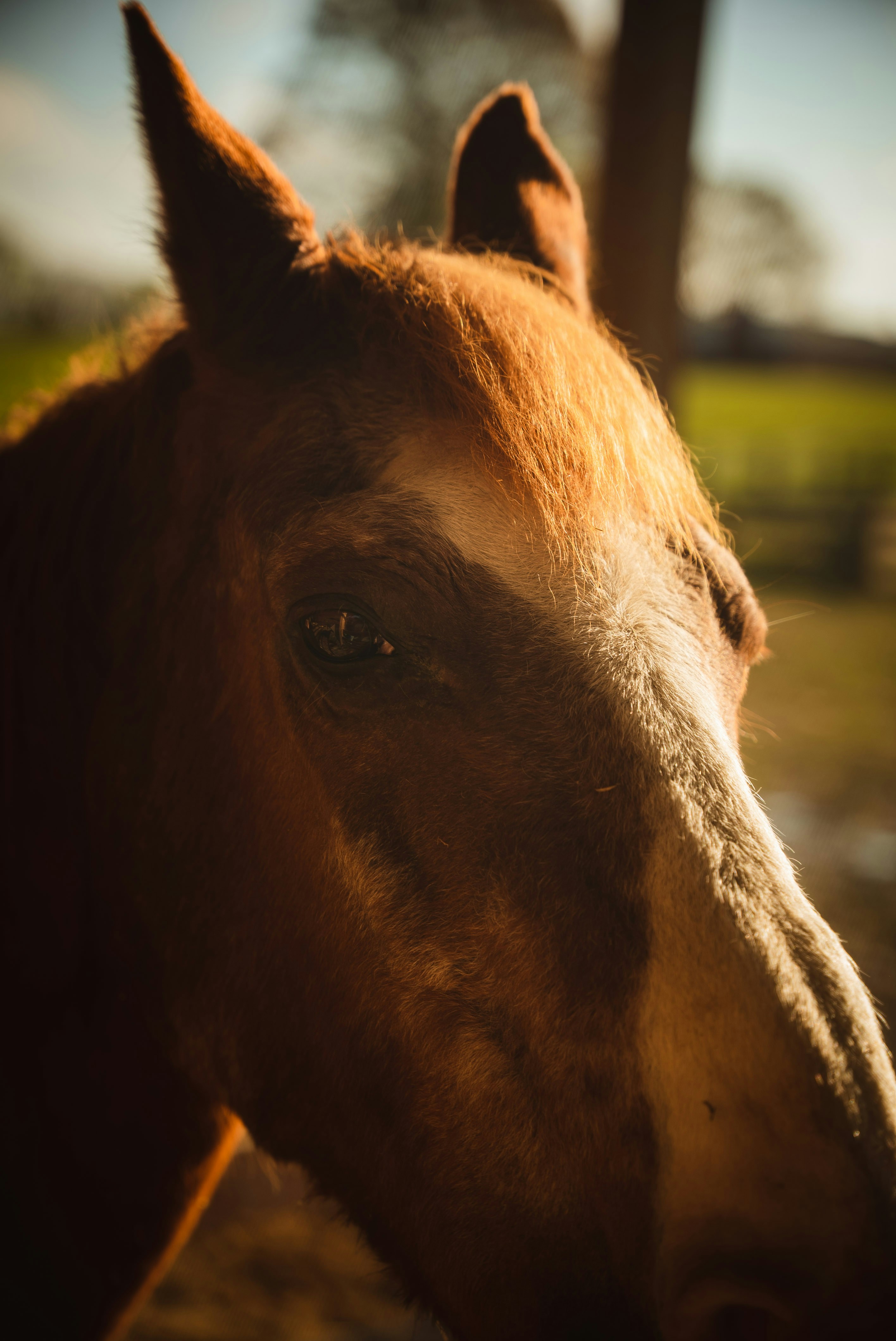 Photo by jacob_diehl_film