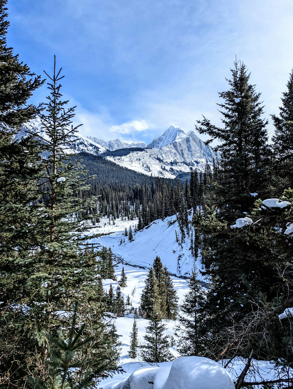 a snow covered mountain with trees in the foreground