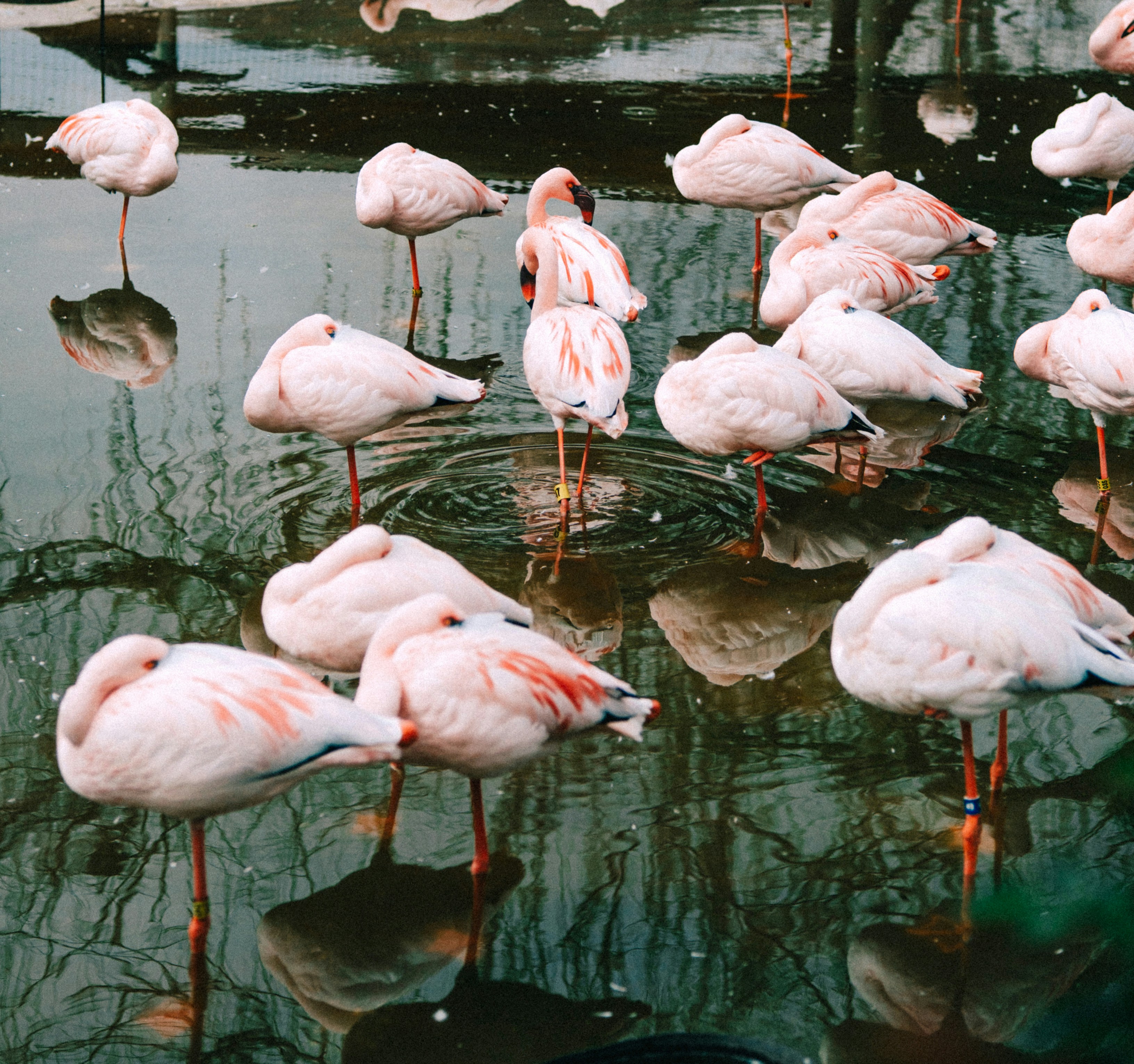 Photo by marsupialpudding