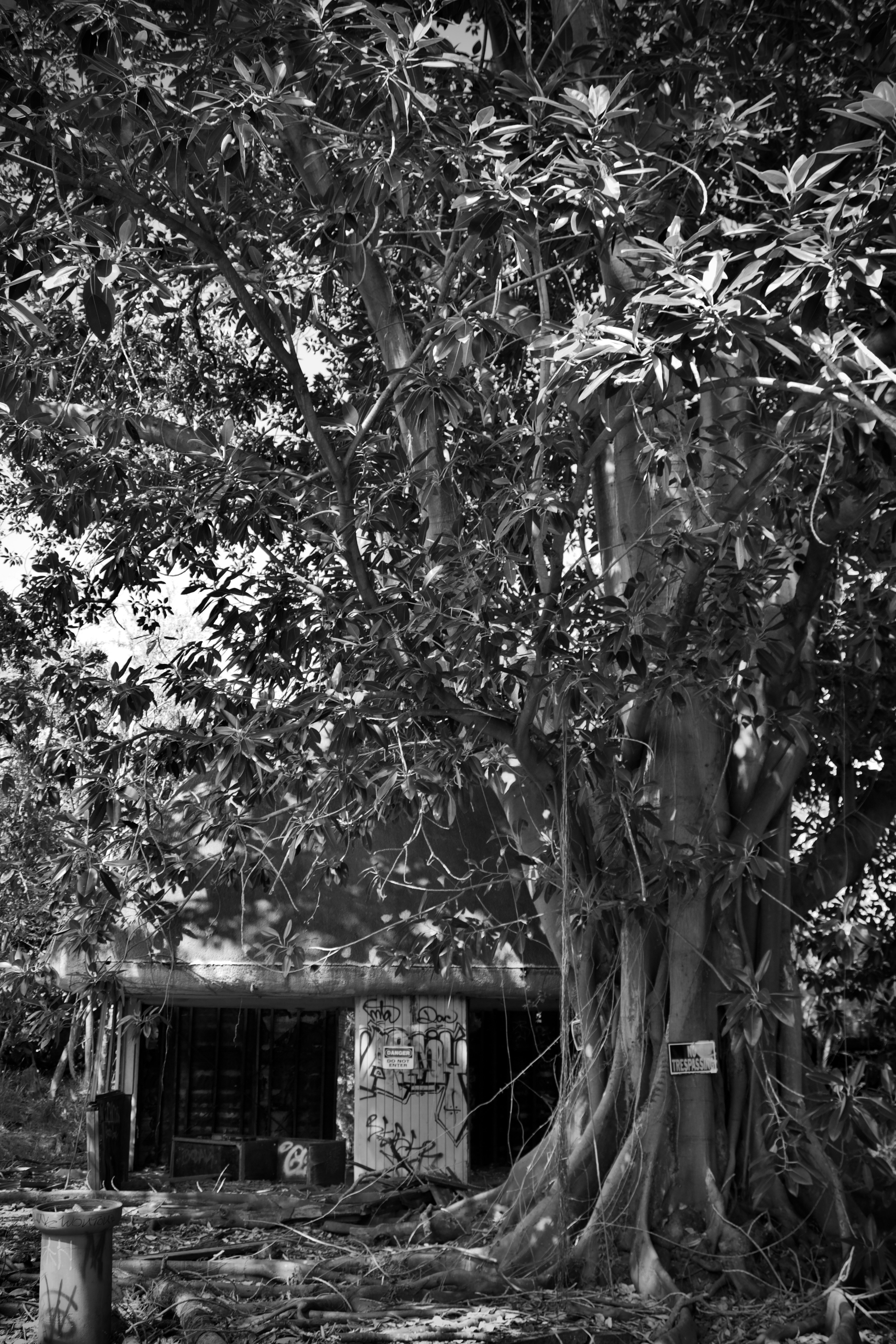 Photo by bbsimplelife