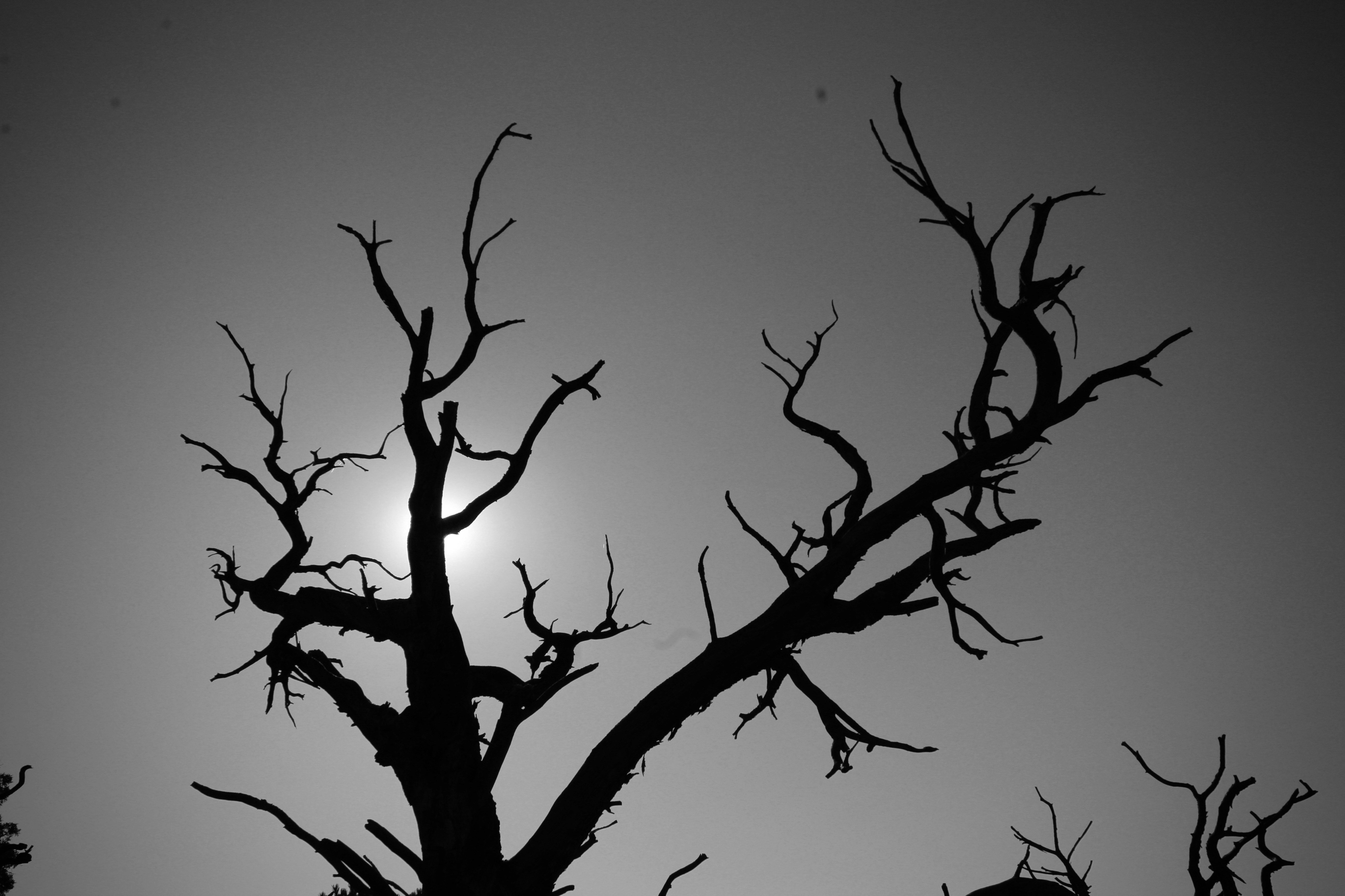 Photo by bbsimplelife