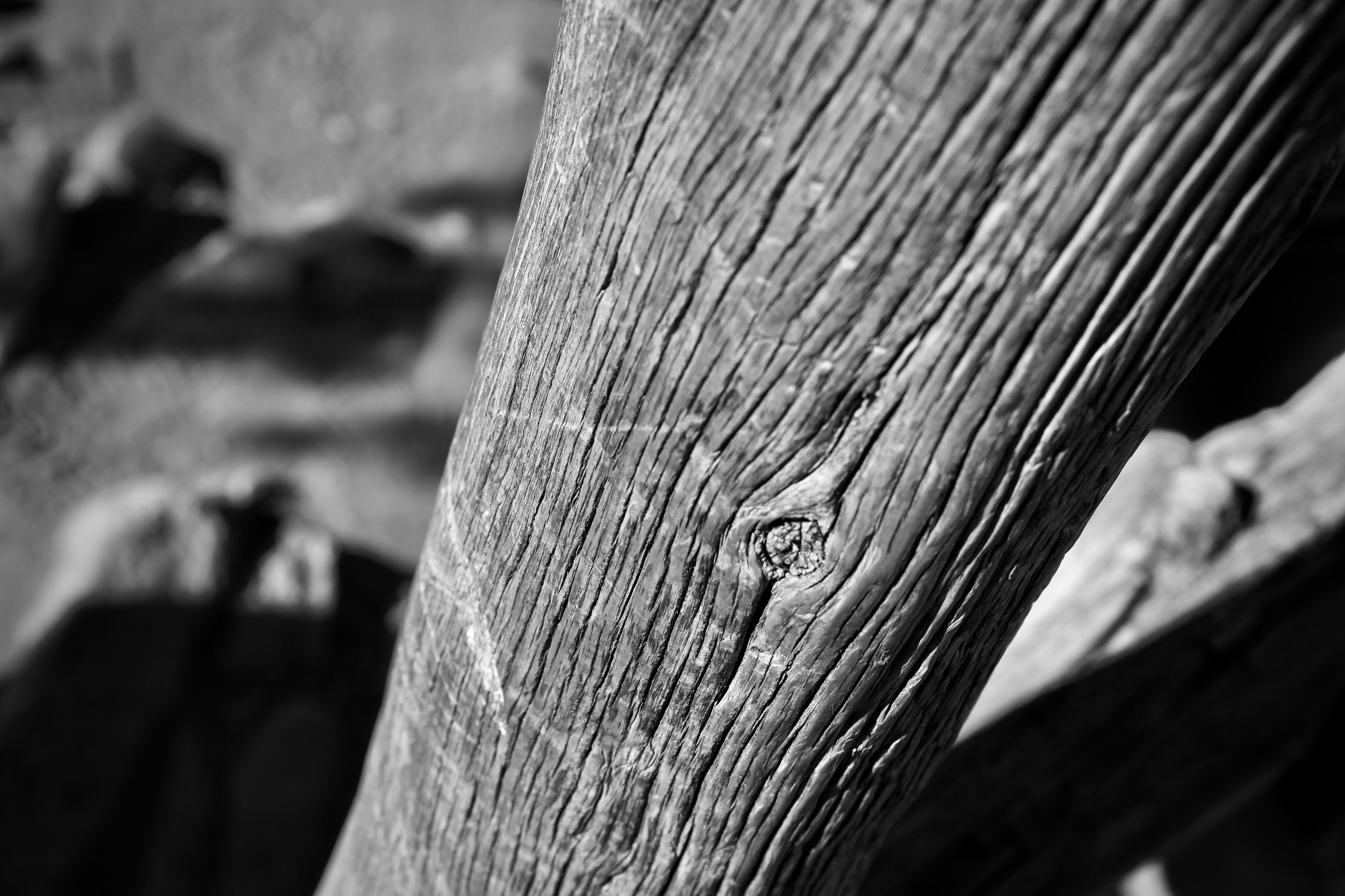 Photo by bbsimplelife