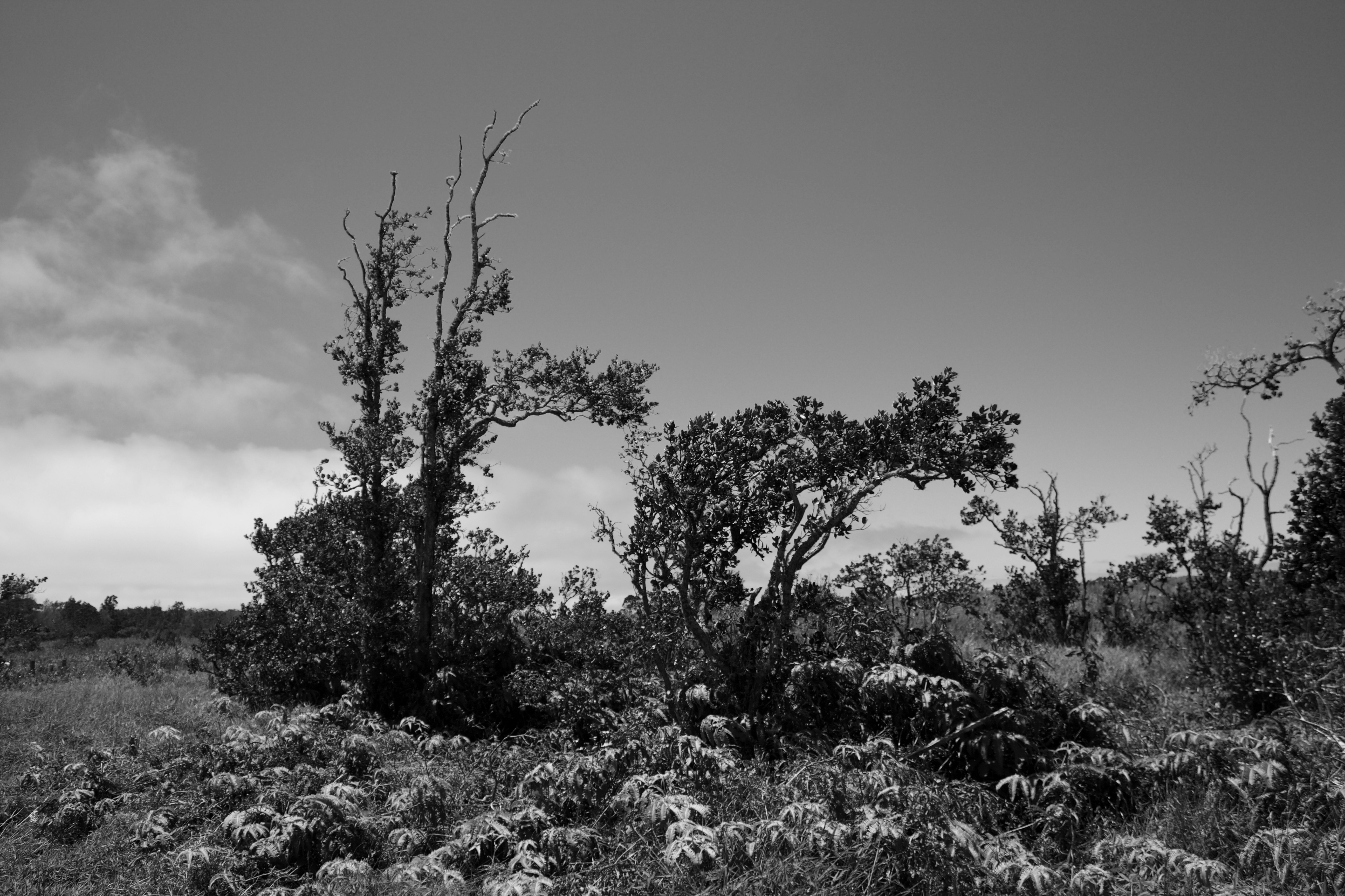 Photo by bbsimplelife