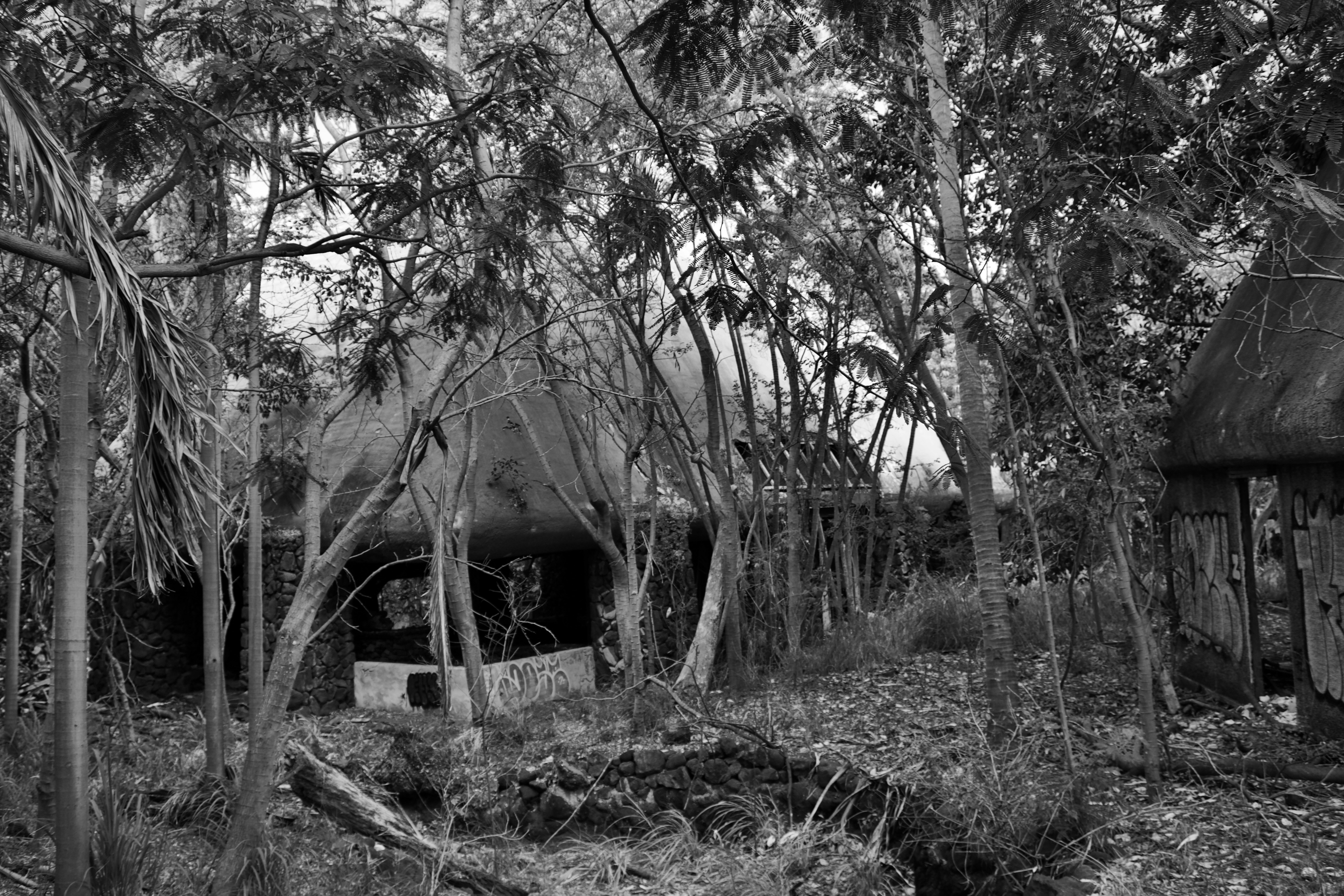 Photo by bbsimplelife