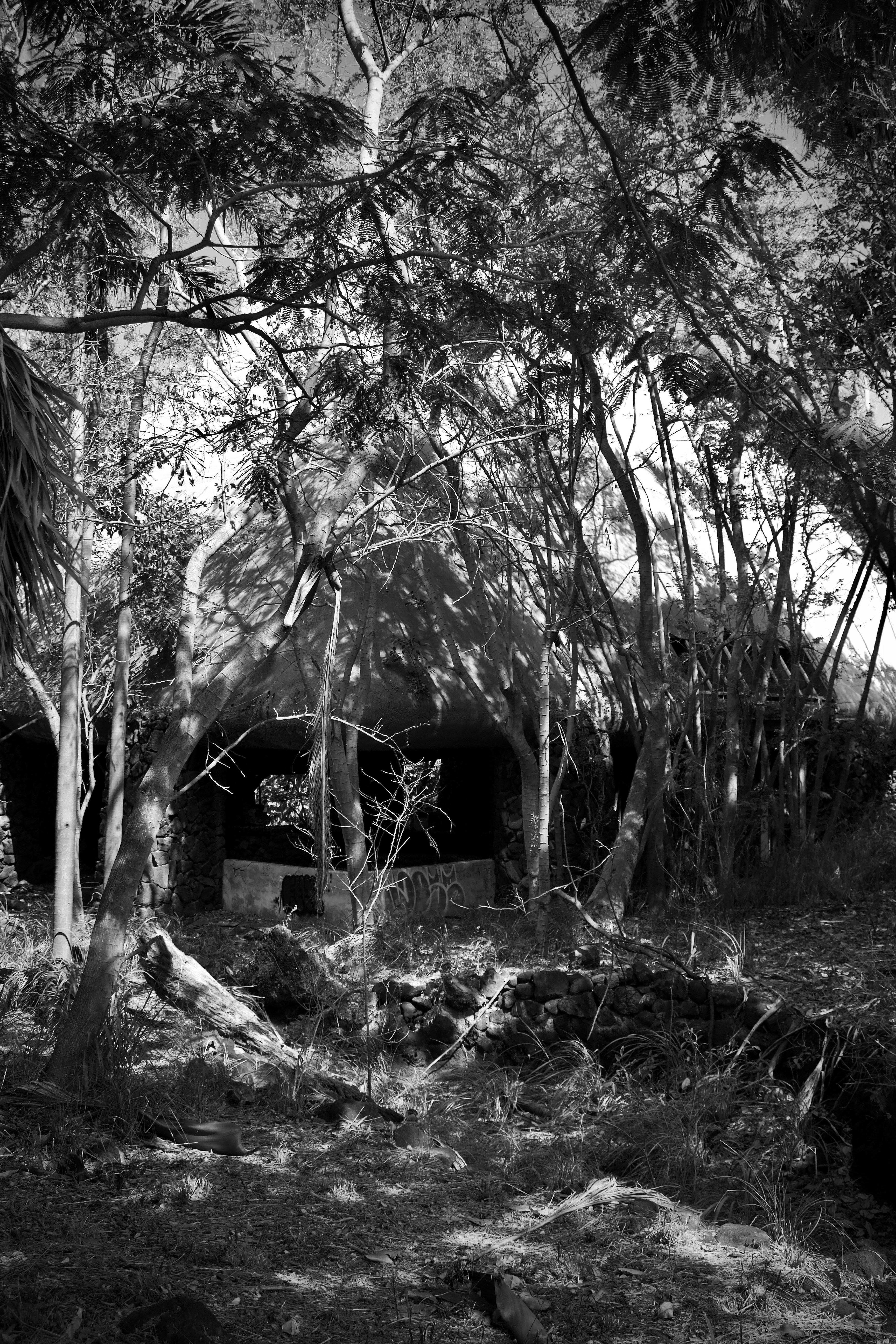 Photo by bbsimplelife