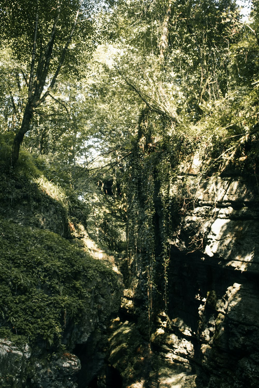 a man riding a horse down a lush green hillside