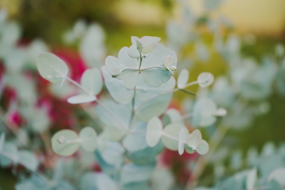 a bunch of flowers that are in a vase