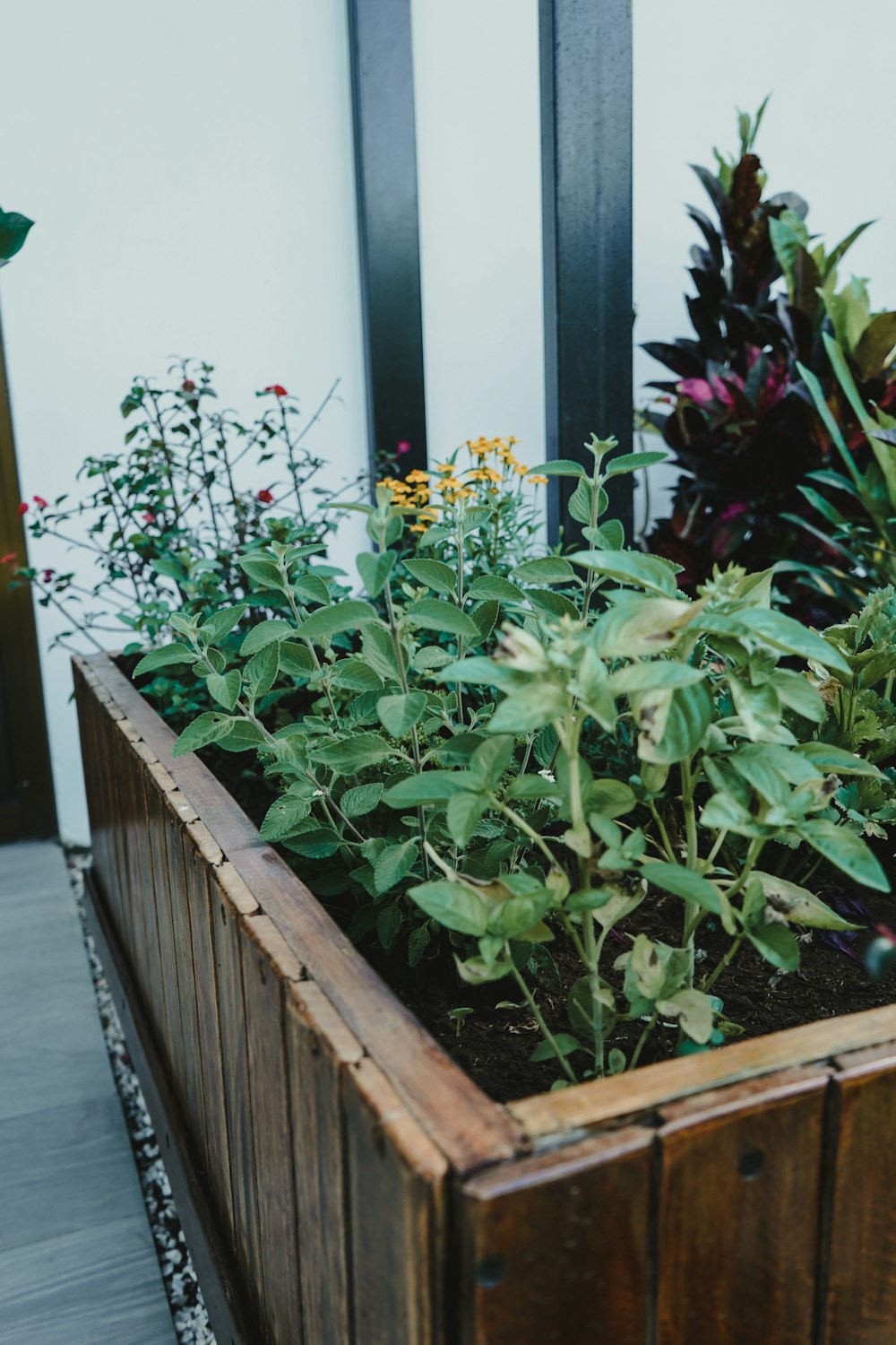 a wooden planter filled with lots of plants