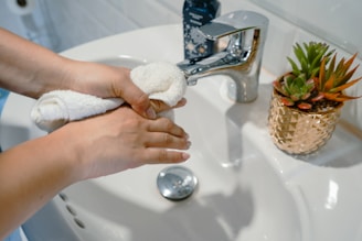 Close-up of hands scrubbing a kitchen sink with cleaning supplies neatly arranged nearby.