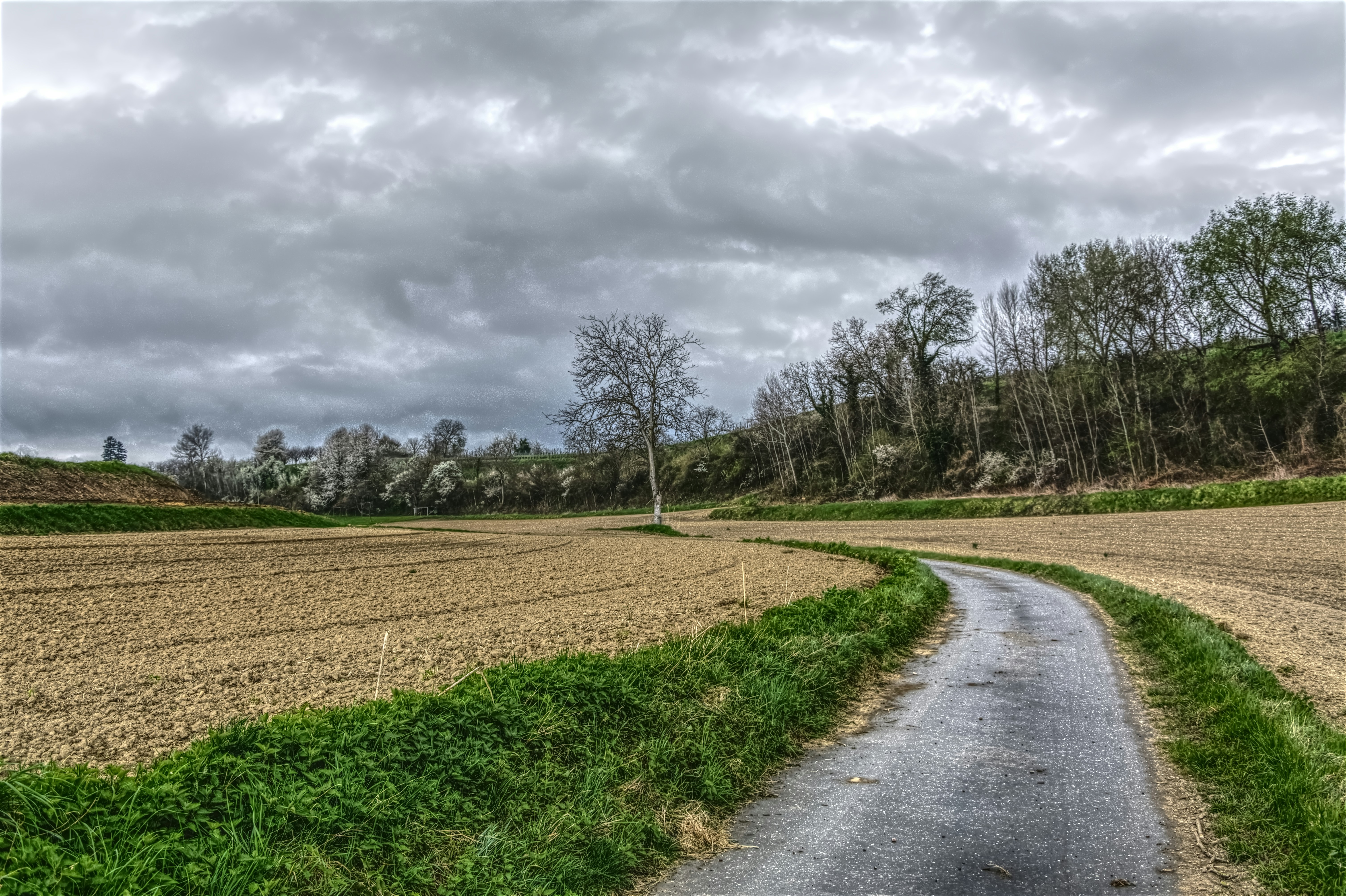 Photo by johndapps