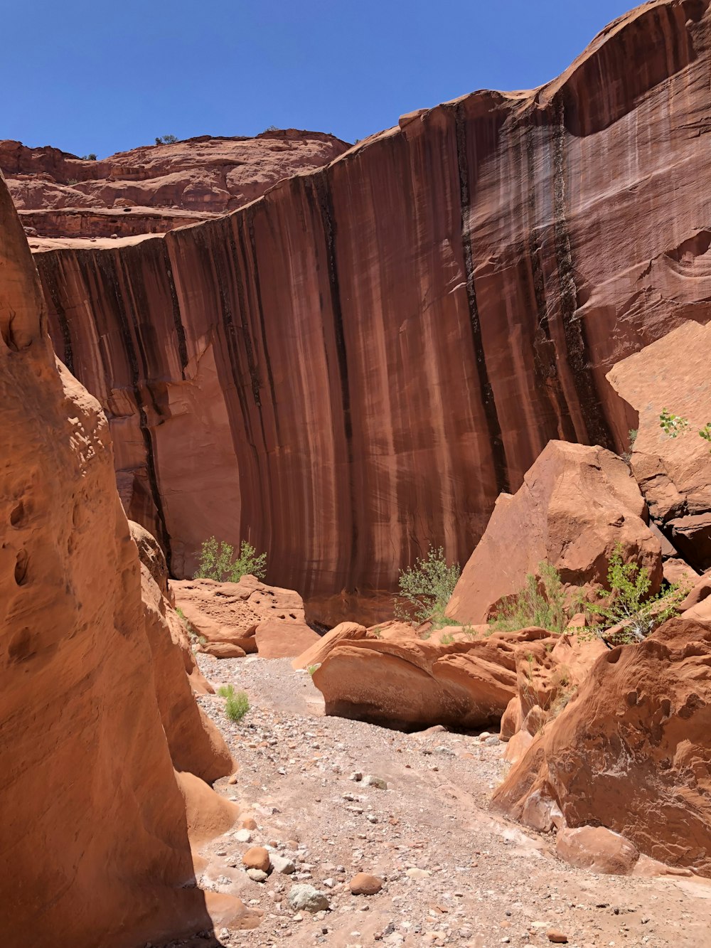 a man riding a horse through a canyon