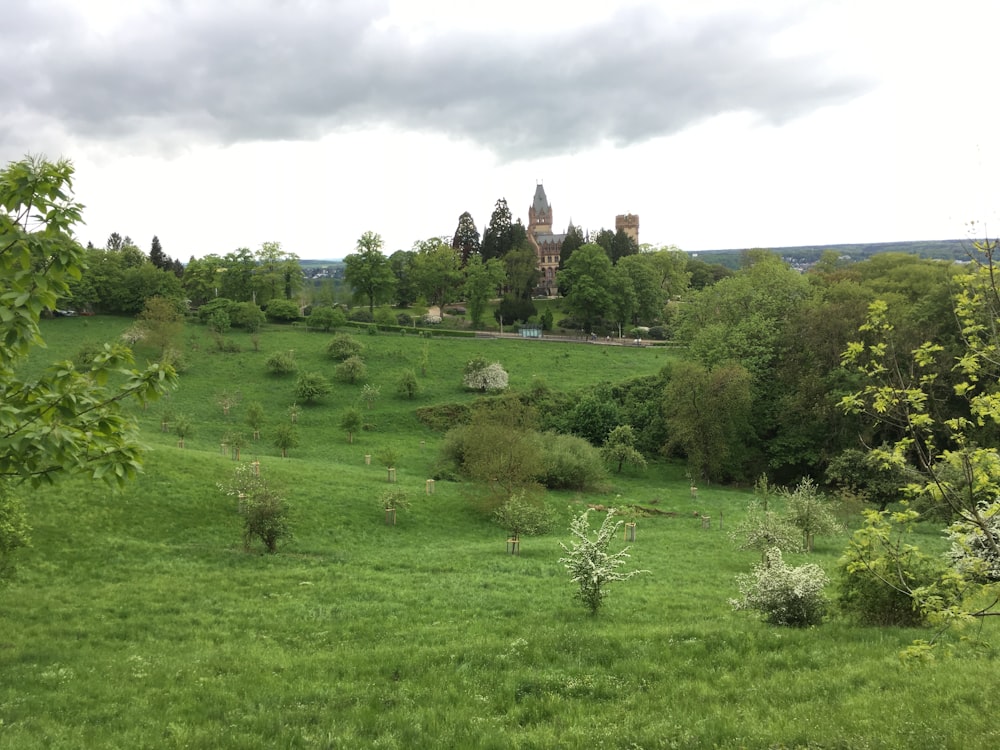 a lush green field with a castle in the background