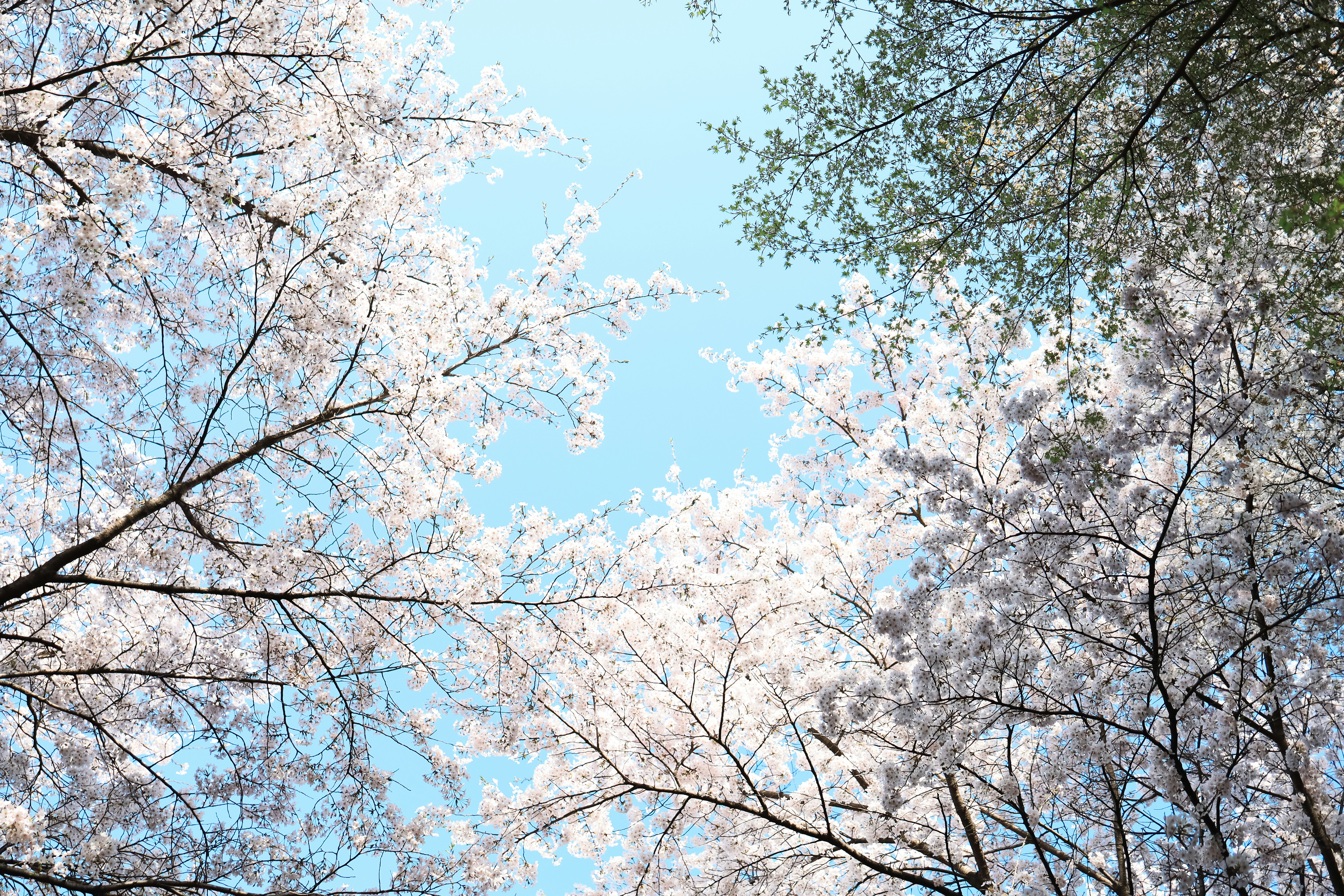 Photo by soflightsto