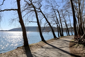 A serene lakeside path at sunrise, inviting calm and wellness.
