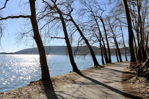 A serene lakeside path at sunrise, inviting calm and wellness.