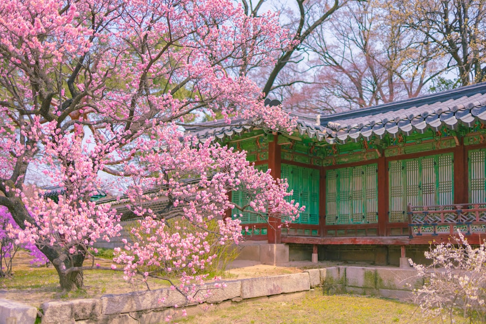 a small building with a tree in front of it