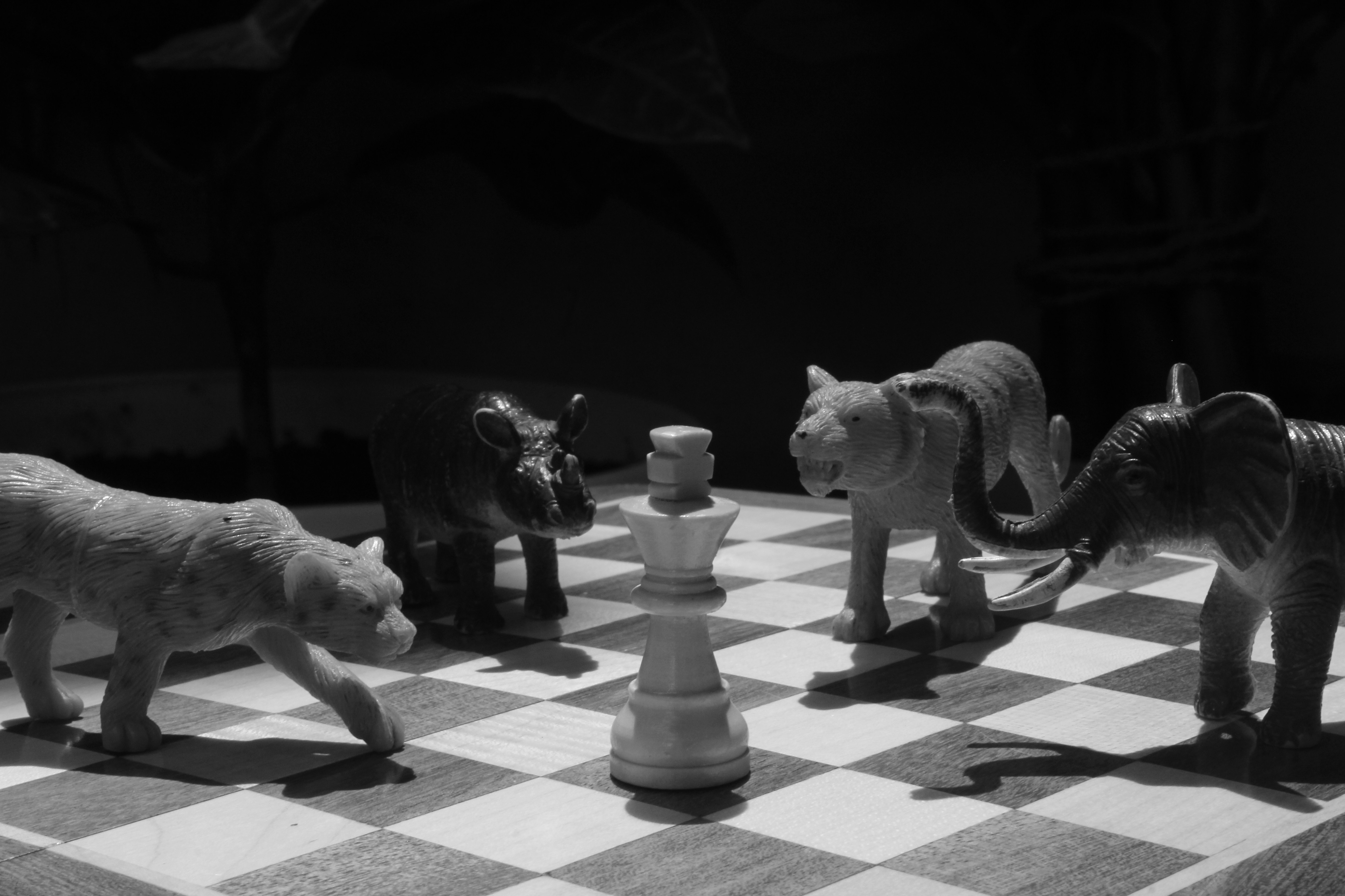 a black and white photo of toy animals on a chess board