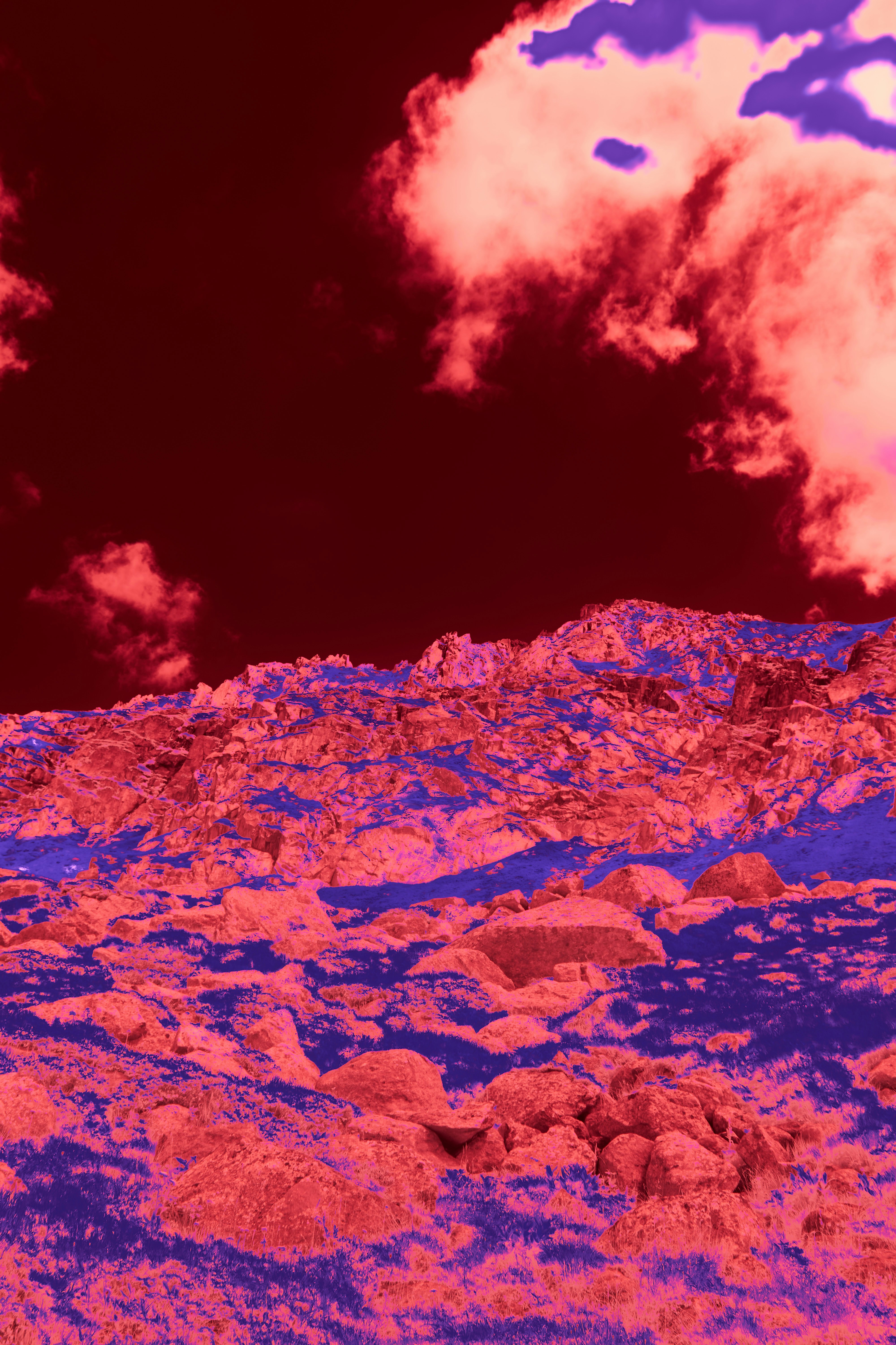 Photo by wolfgang_hasselmann