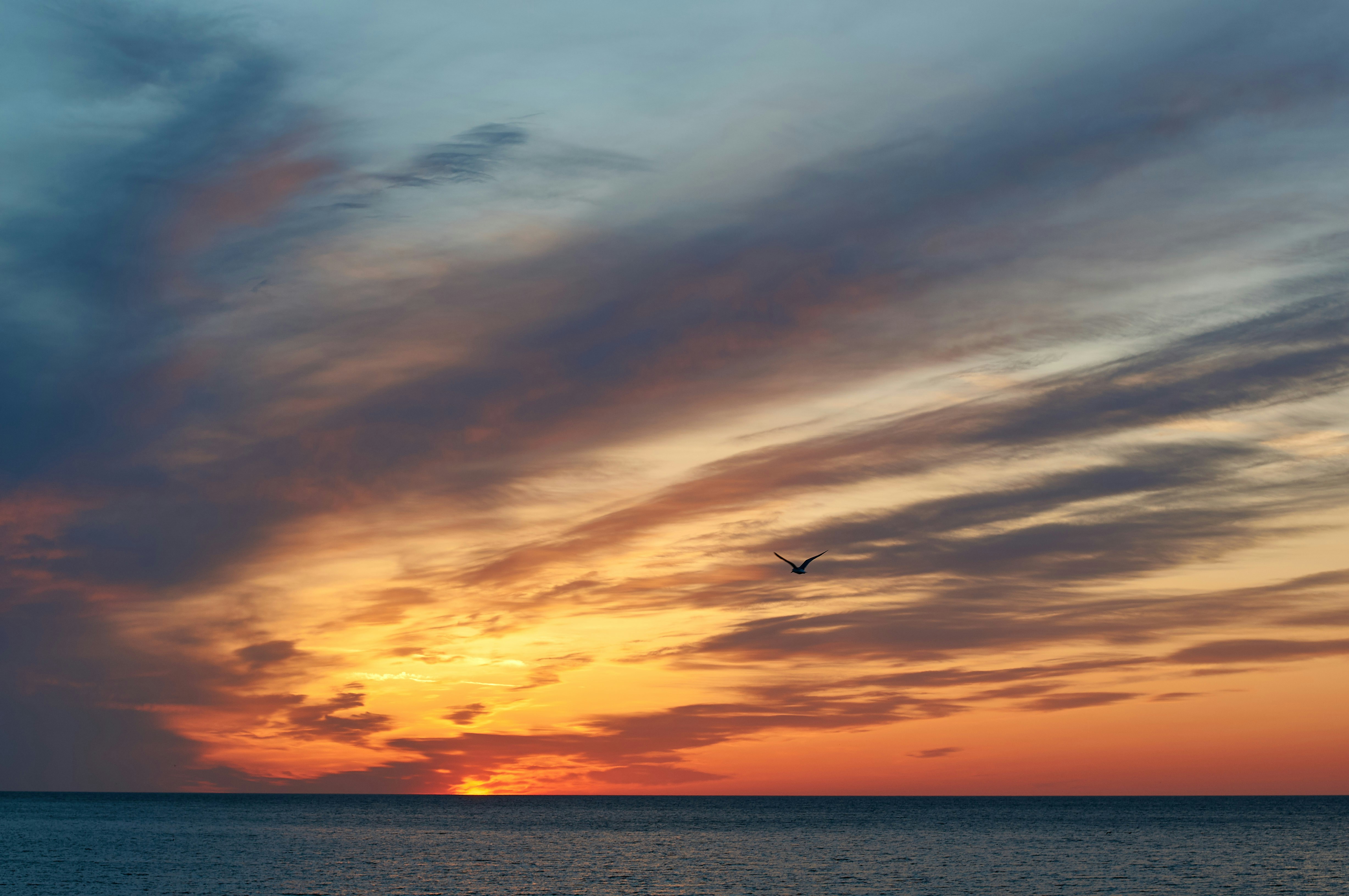 Photo by wolfgang_hasselmann