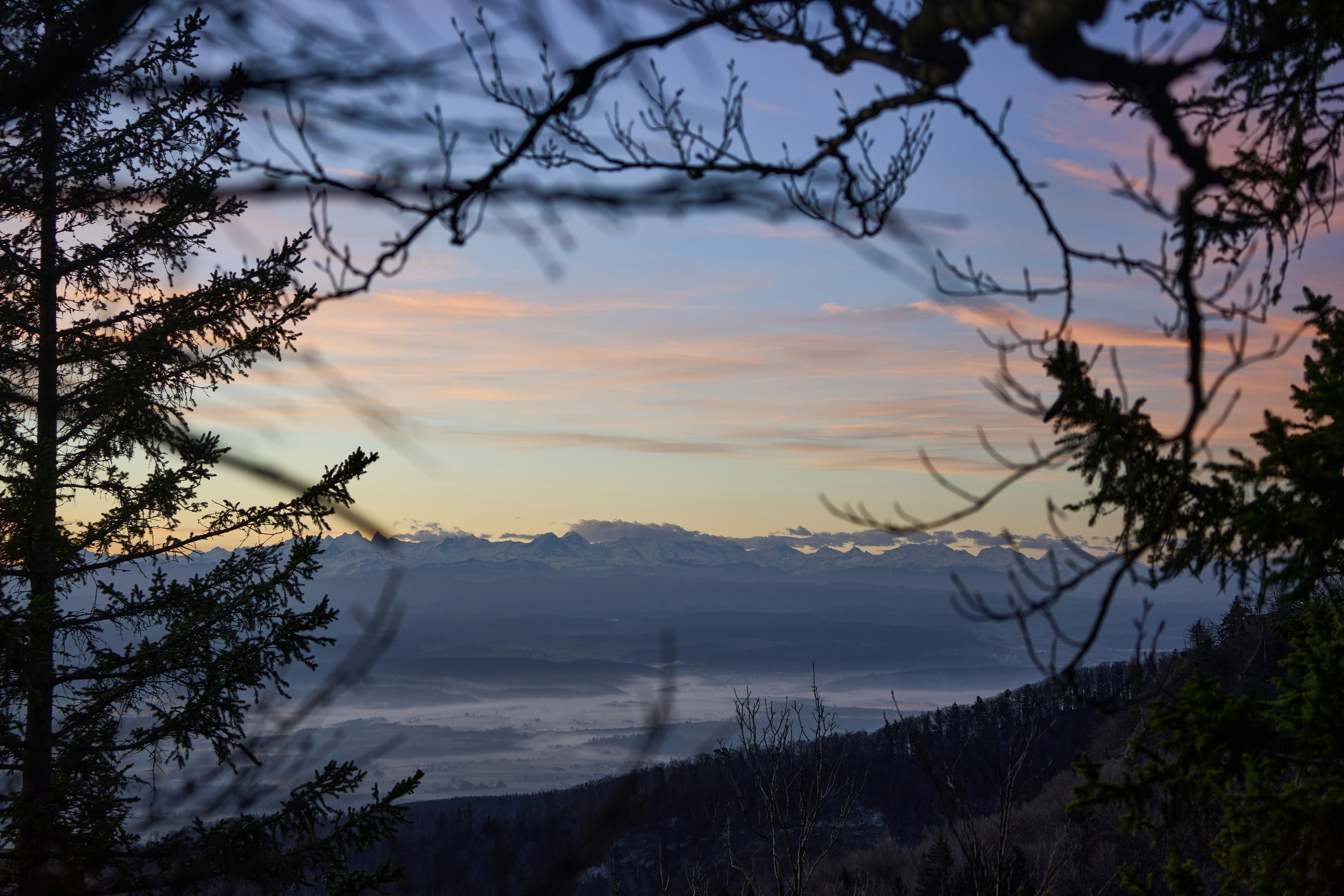 Photo by wolfgang_hasselmann