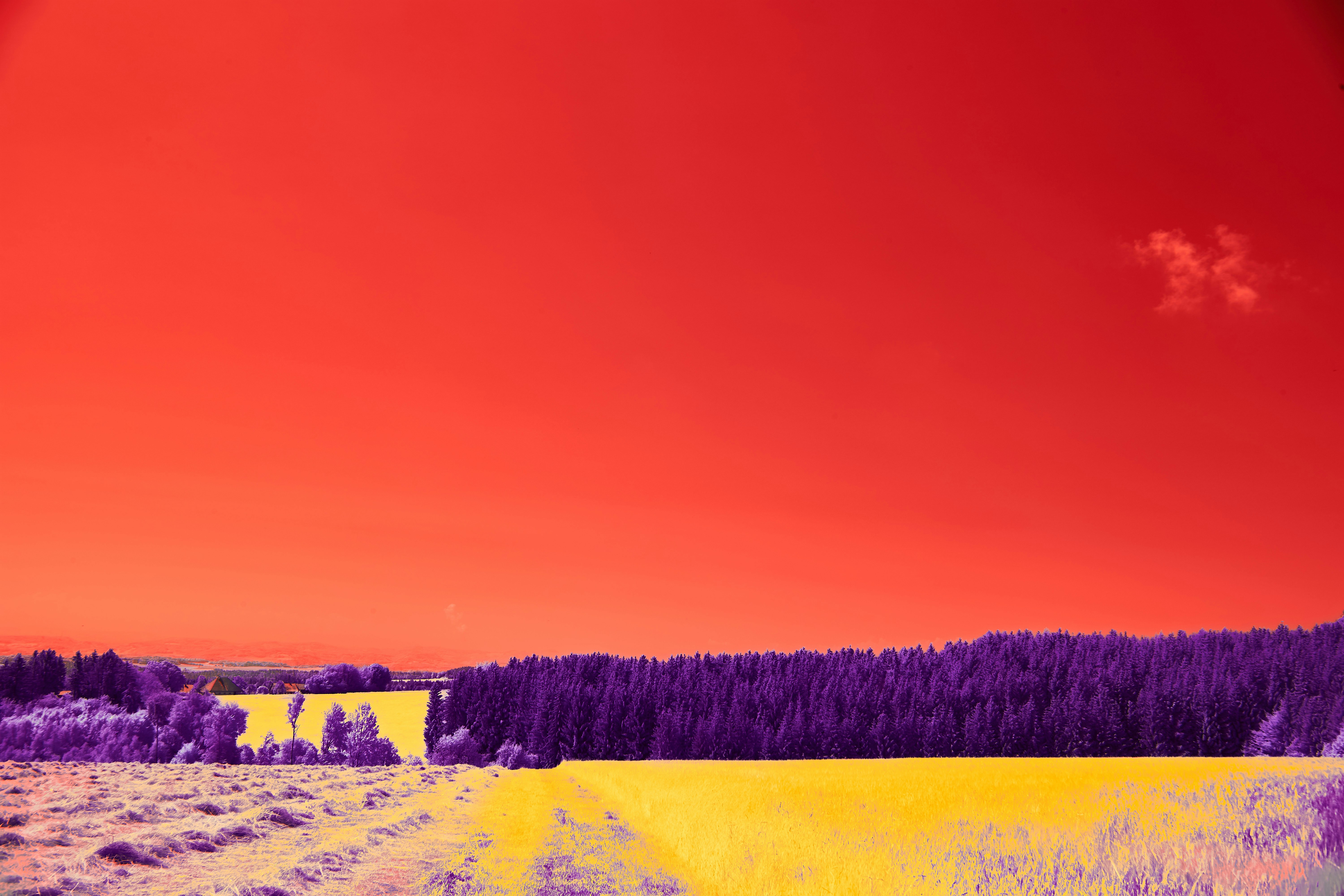 Photo by wolfgang_hasselmann