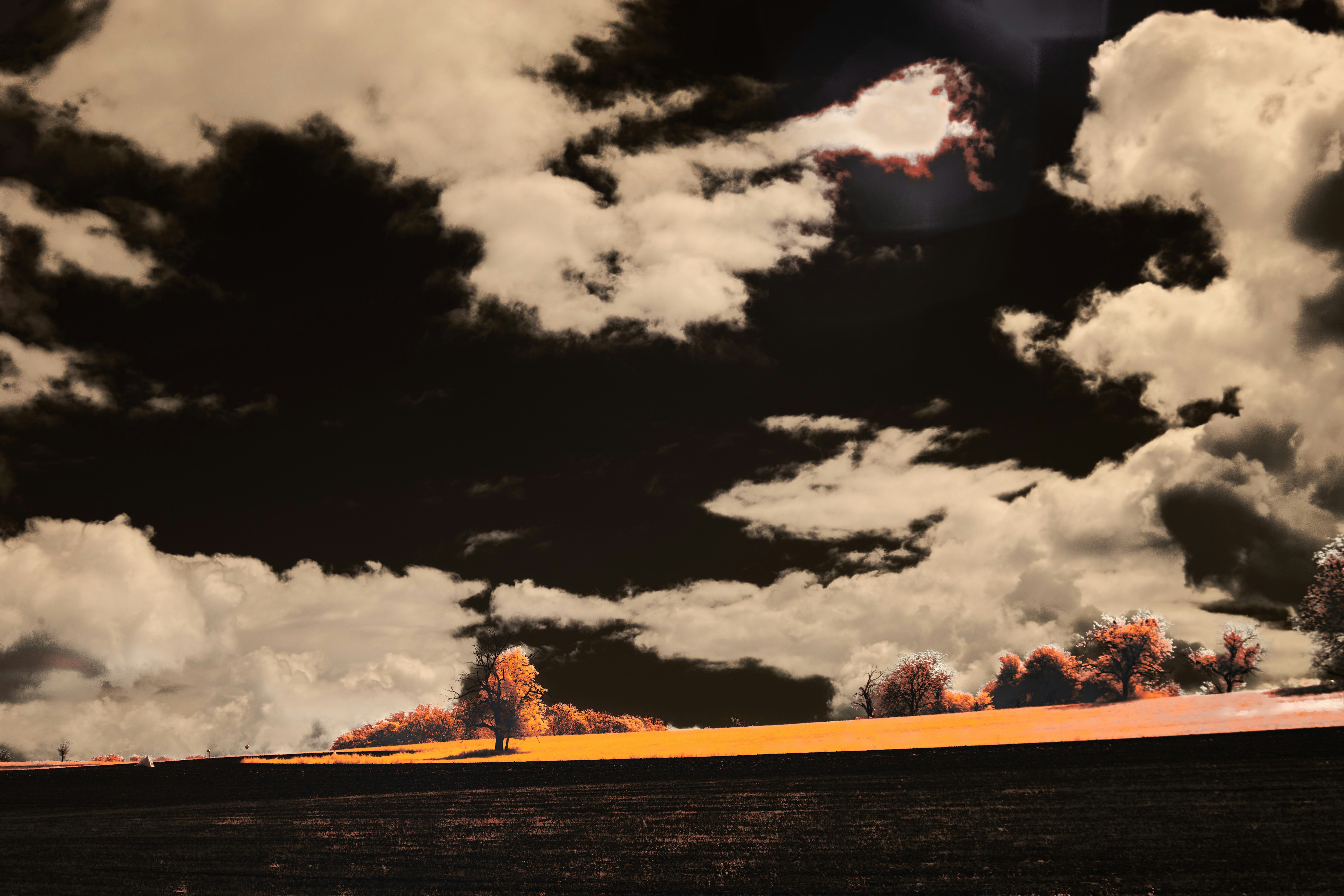 Photo by wolfgang_hasselmann