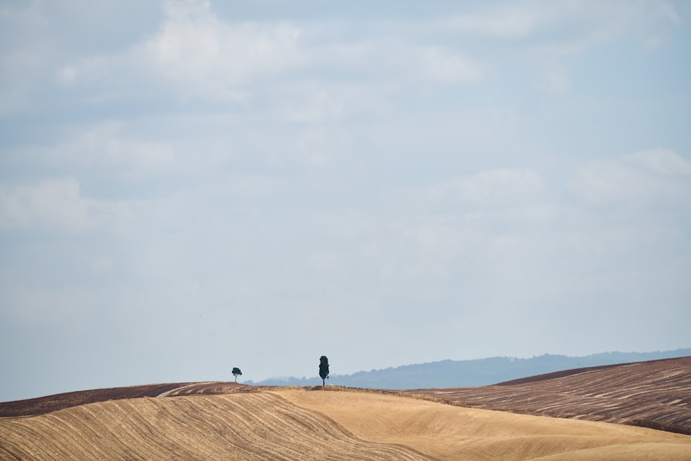 a couple of people standing on top of a dry grass field