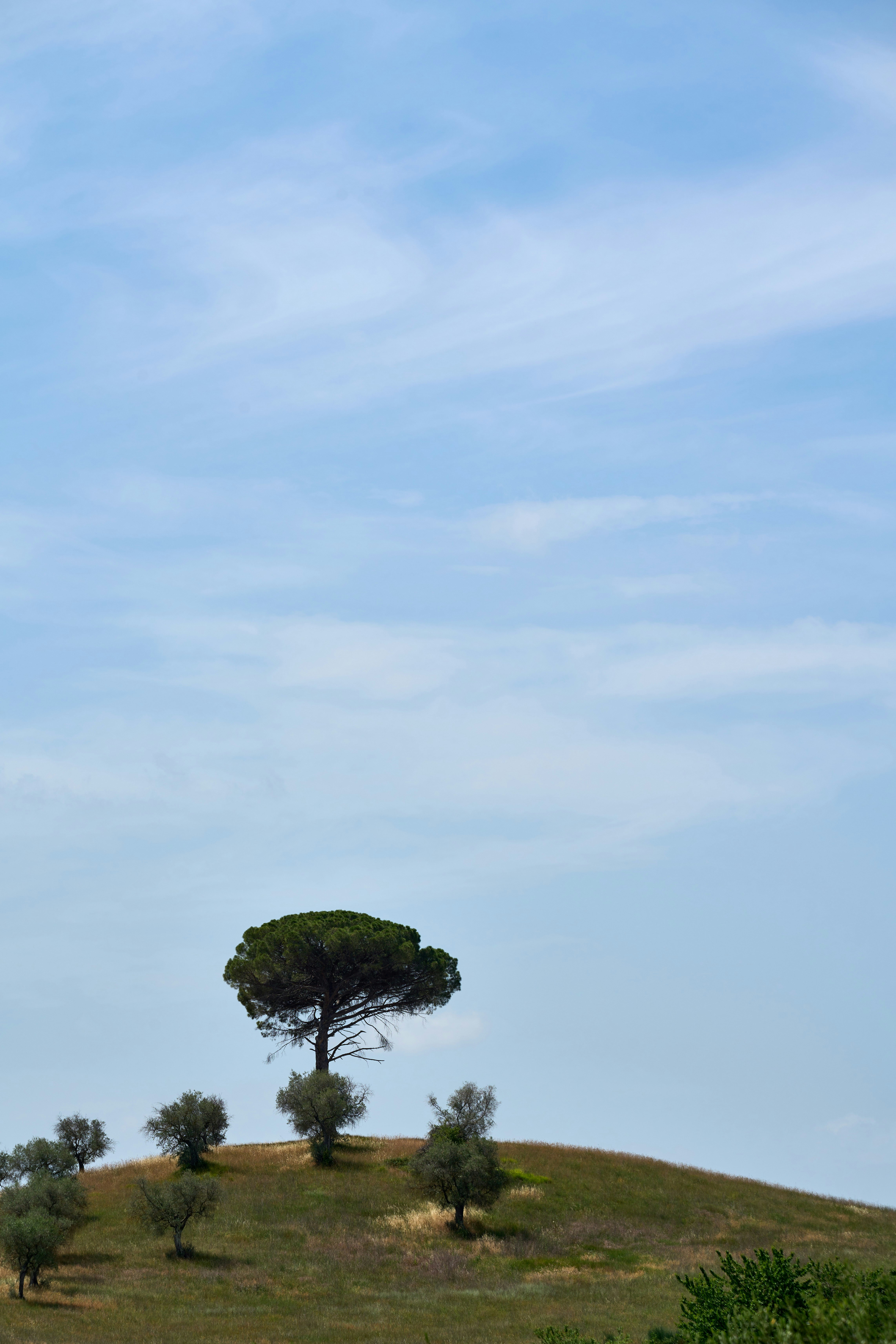 Photo by wolfgang_hasselmann