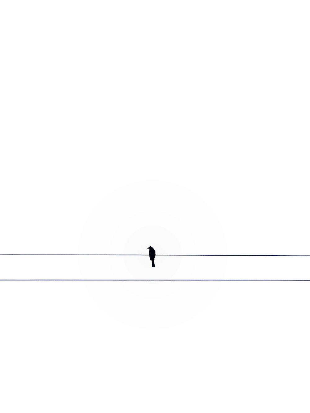 a bird sitting on a wire with a sky background