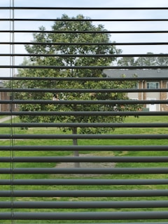 A tree is visible through the horizontal slats of window blinds, set against a backdrop of grass and a residential building. The tree's green foliage contrasts with the orderly alignment of the blinds, and the building in the distance is light brown with white accents.