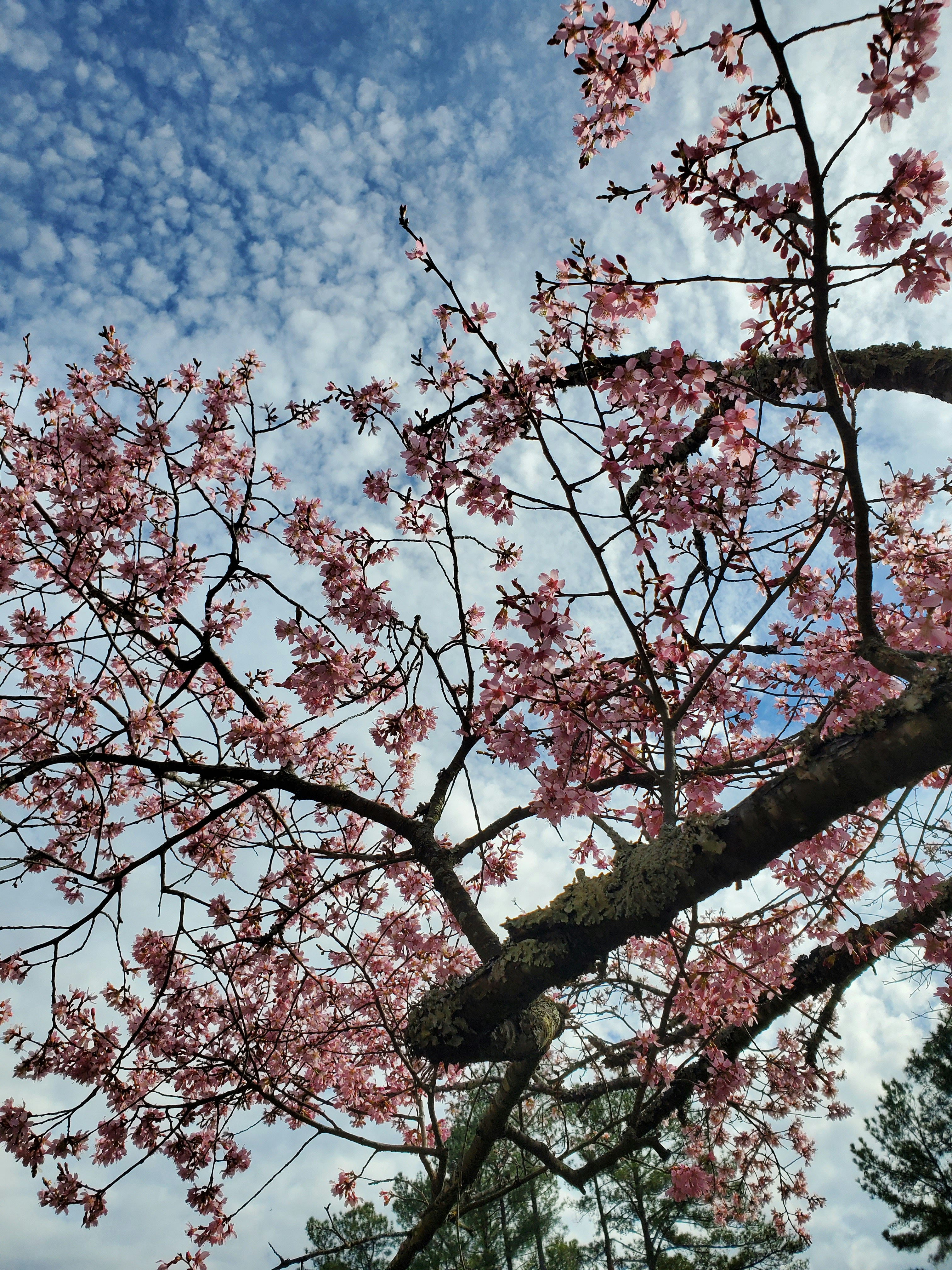 Photo by c2023_lailanoor