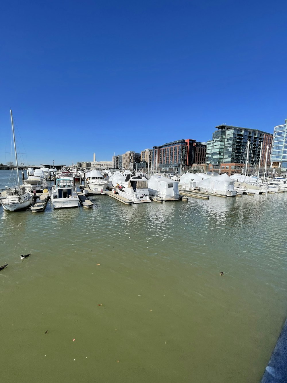 a harbor filled with lots of white boats