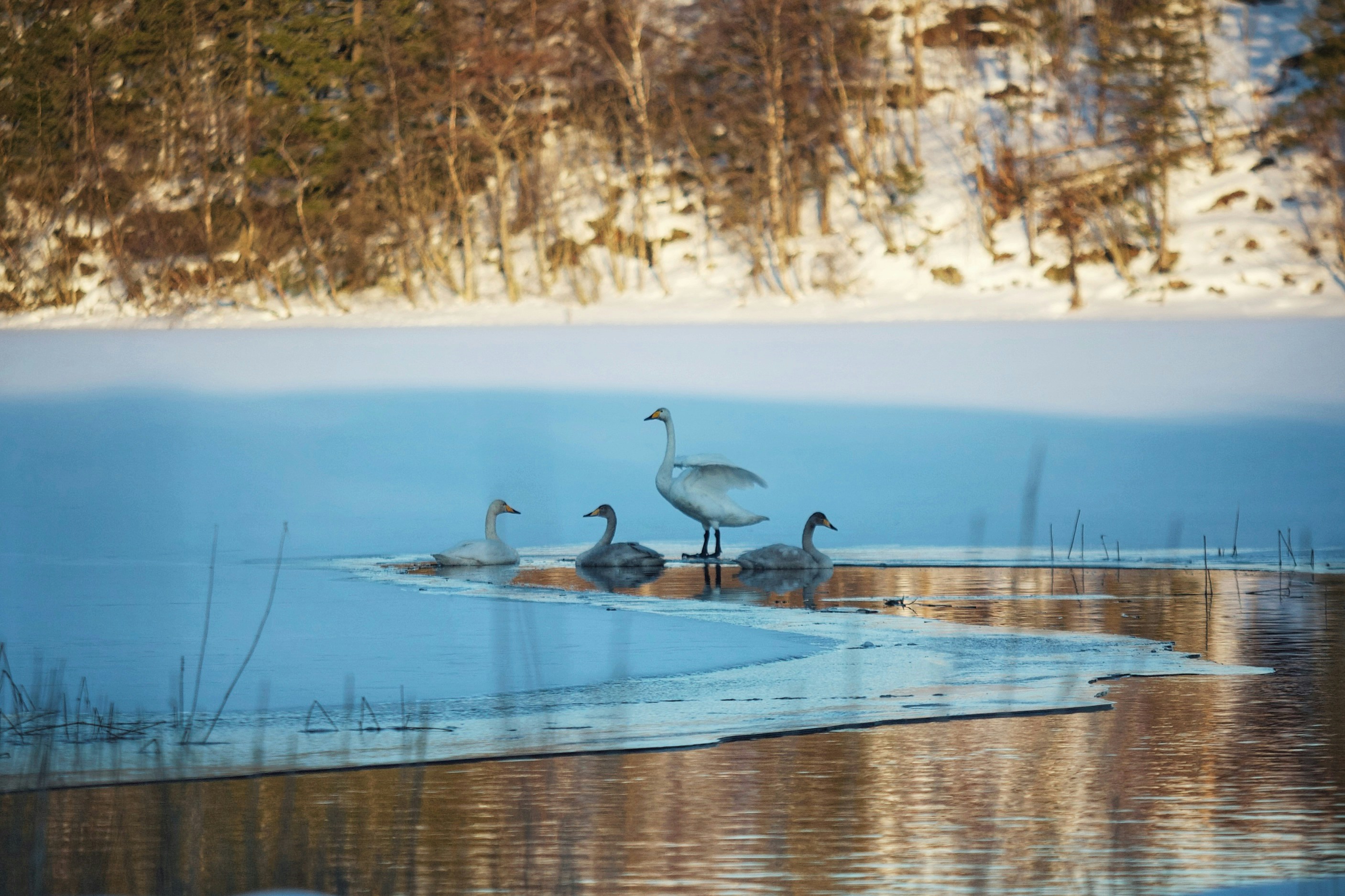 Photo by kristinokarlsen