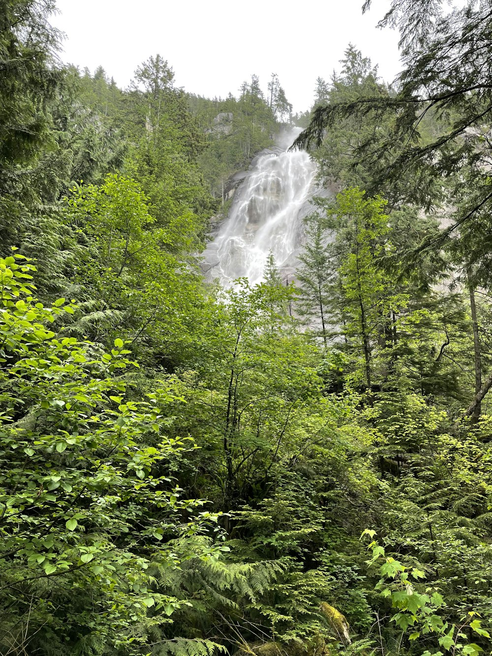 a large waterfall in the middle of a forest