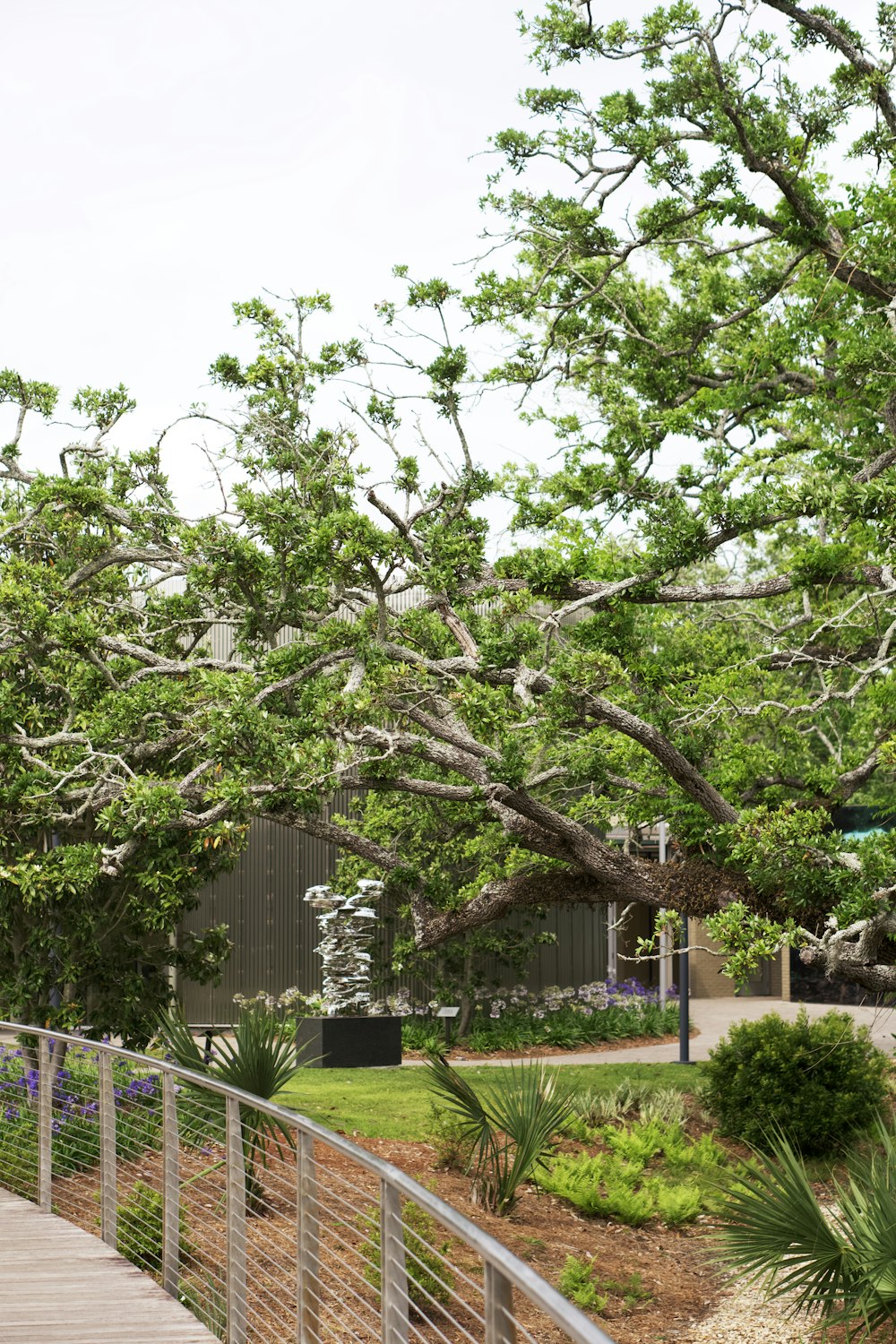 a tree that is next to a walkway