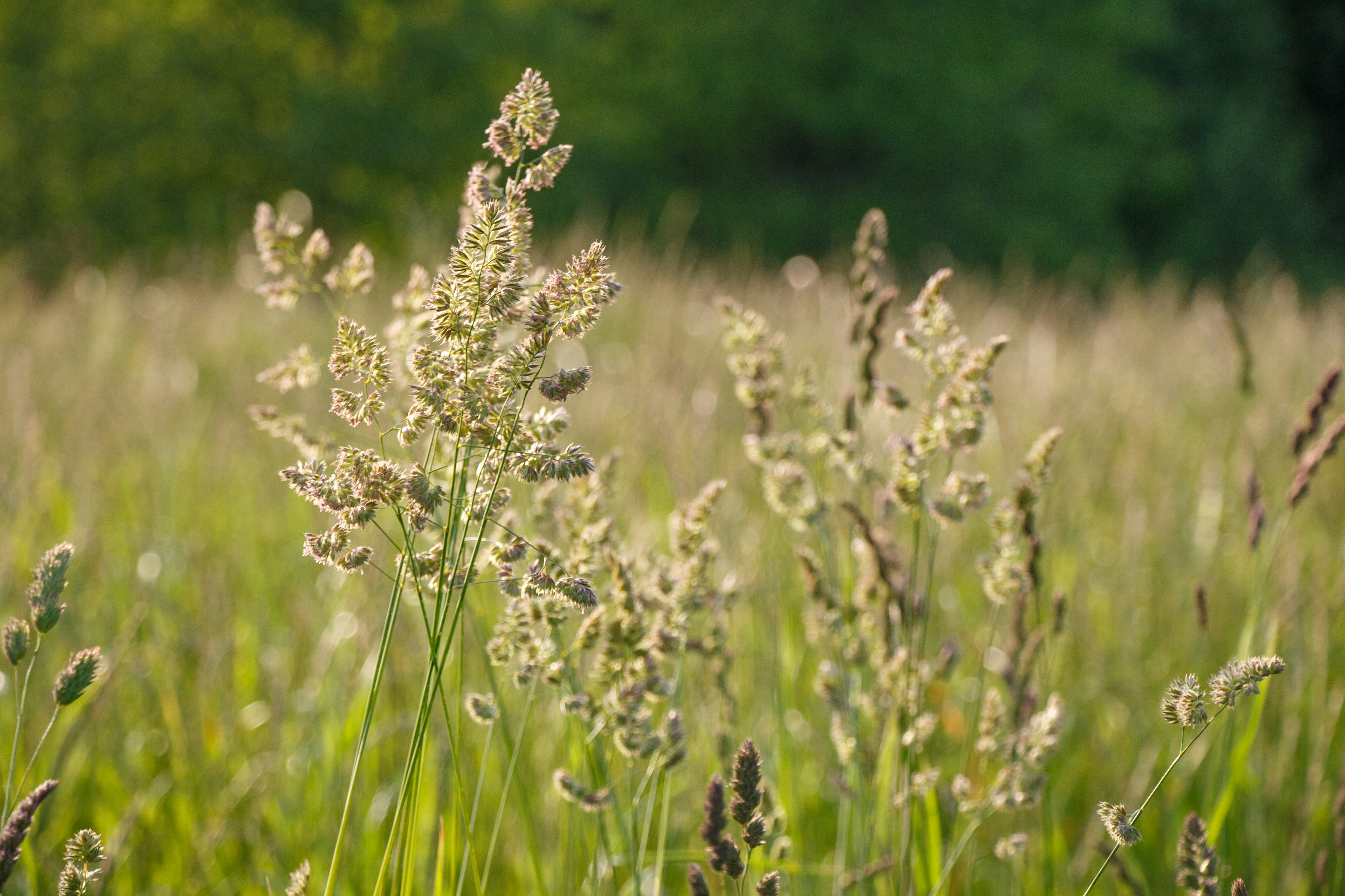 Photo by viktorsmoliak