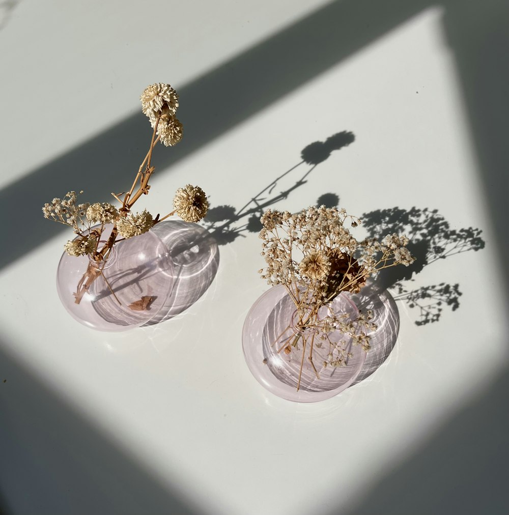 two glass vases with dried flowers in them