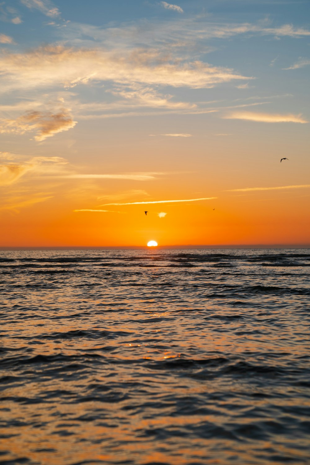 the sun is setting over the ocean with birds flying in the sky