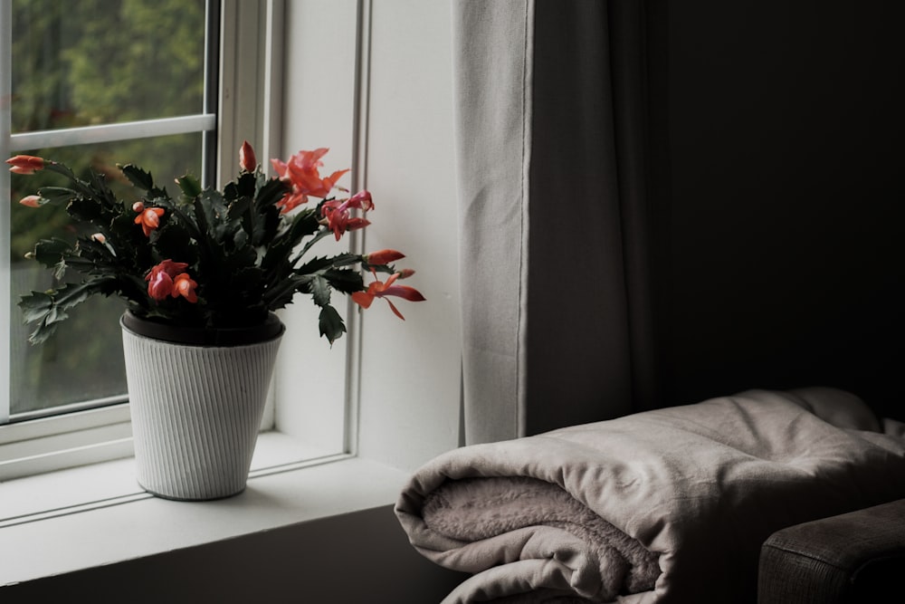 a potted plant sitting on a window sill next to a blanket