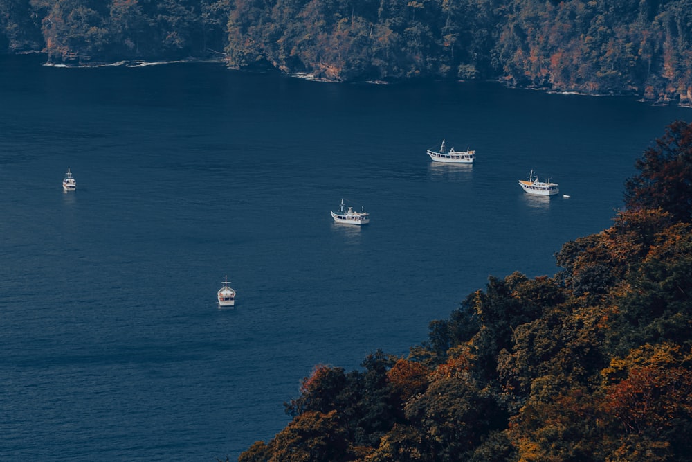 a group of boats floating on top of a large body of water